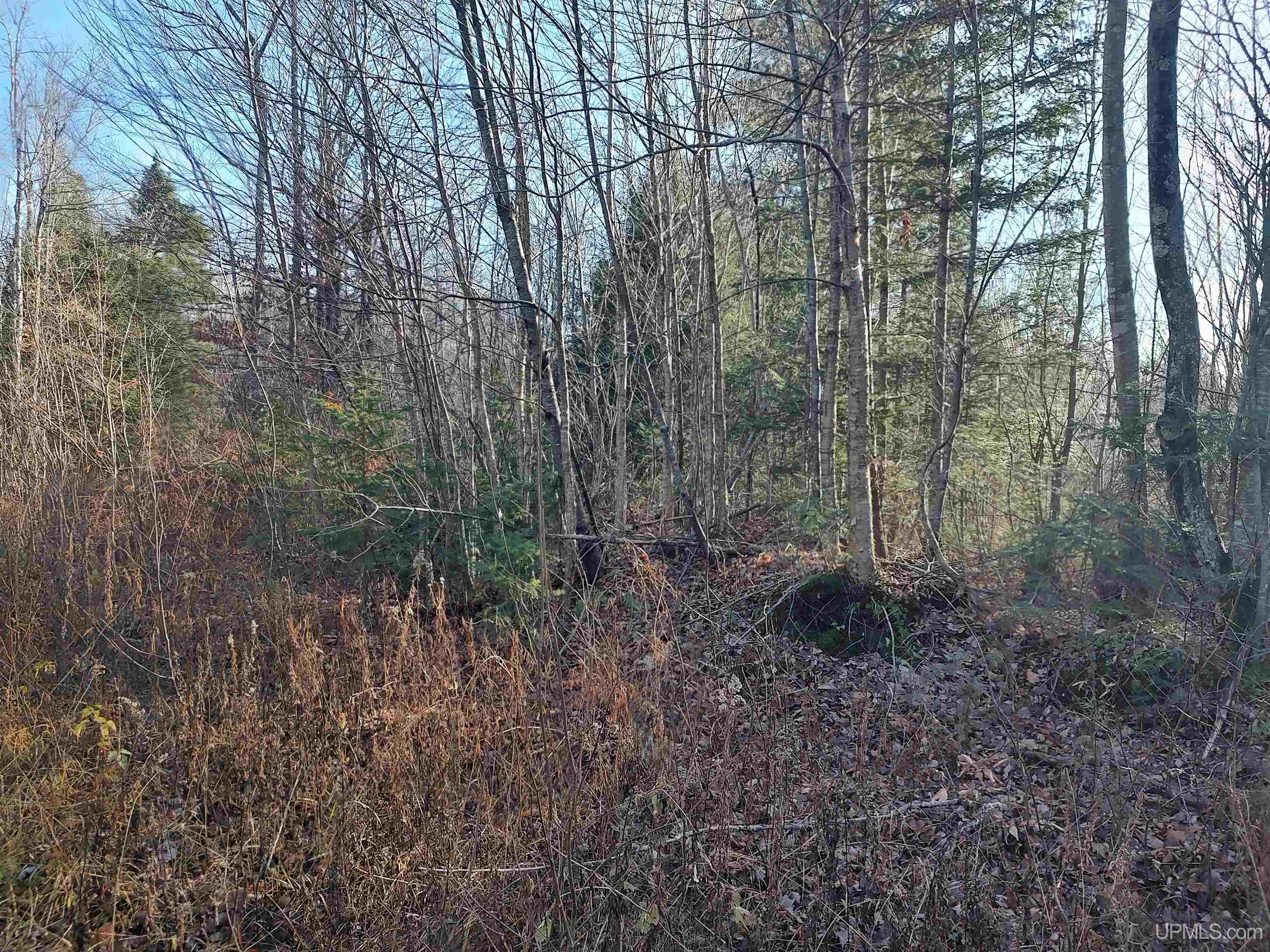 main property photo 9
