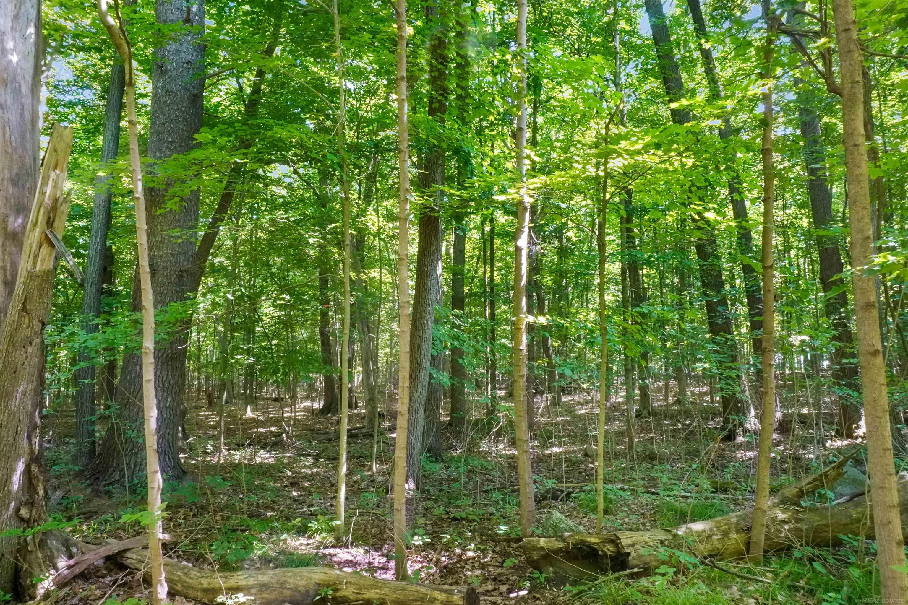 property viewer photo 51