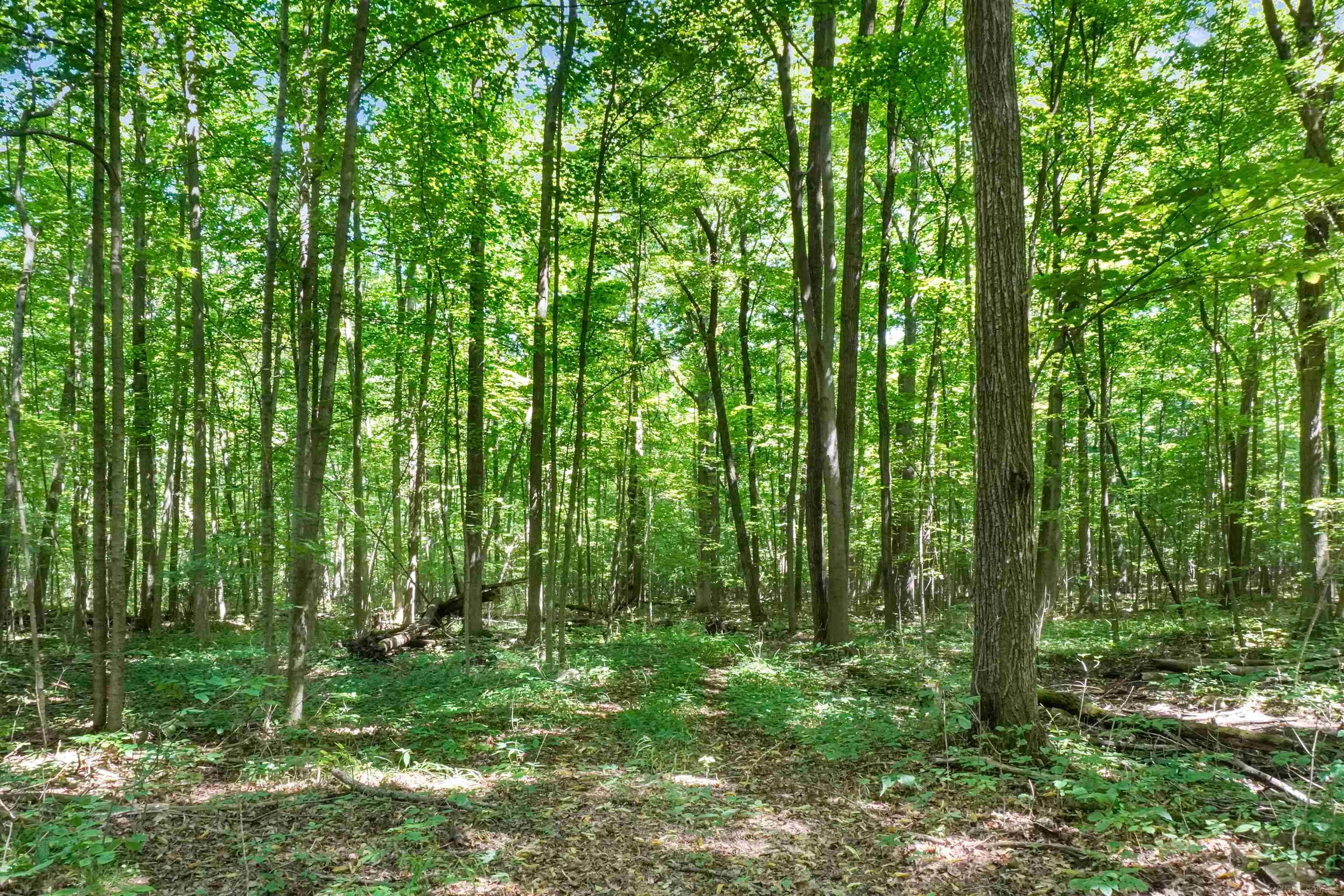 property viewer photo 52