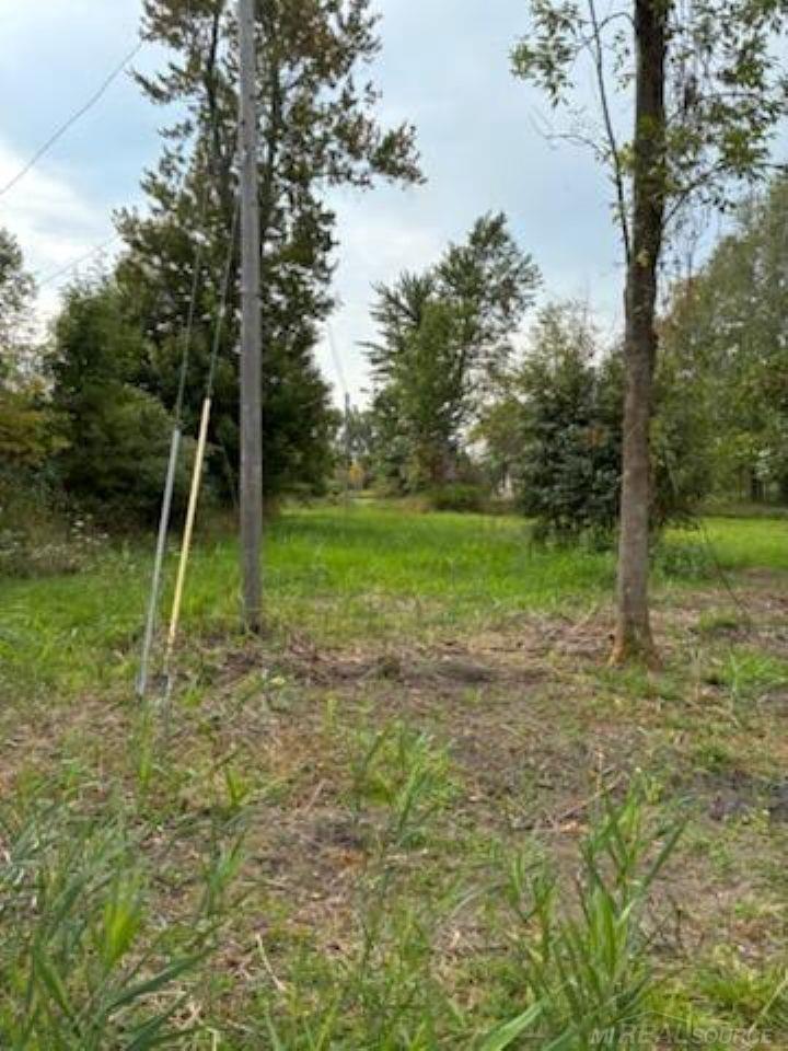 main property photo 7