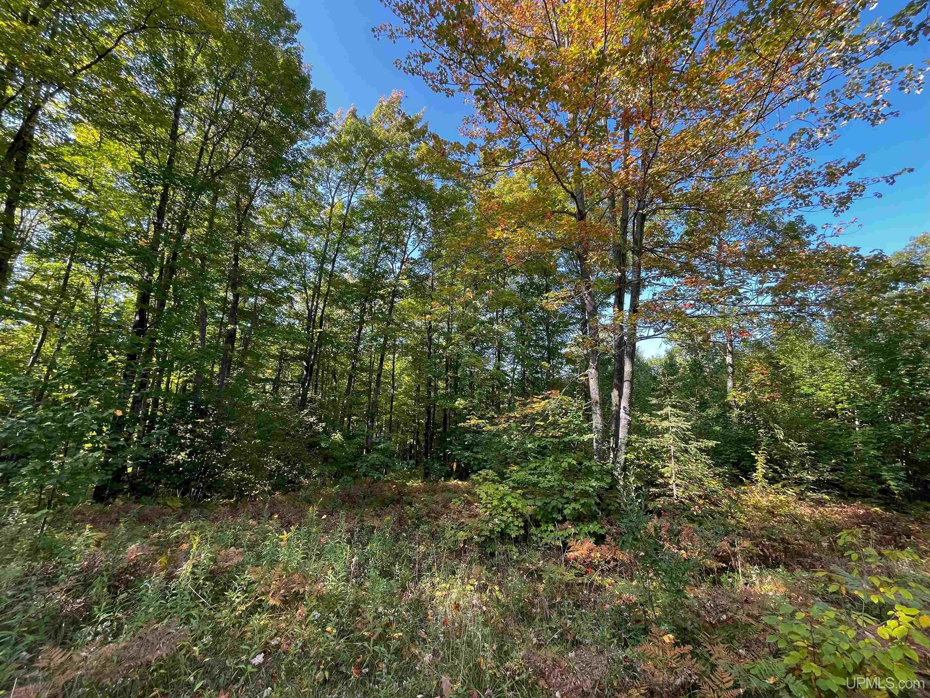 main property photo 10