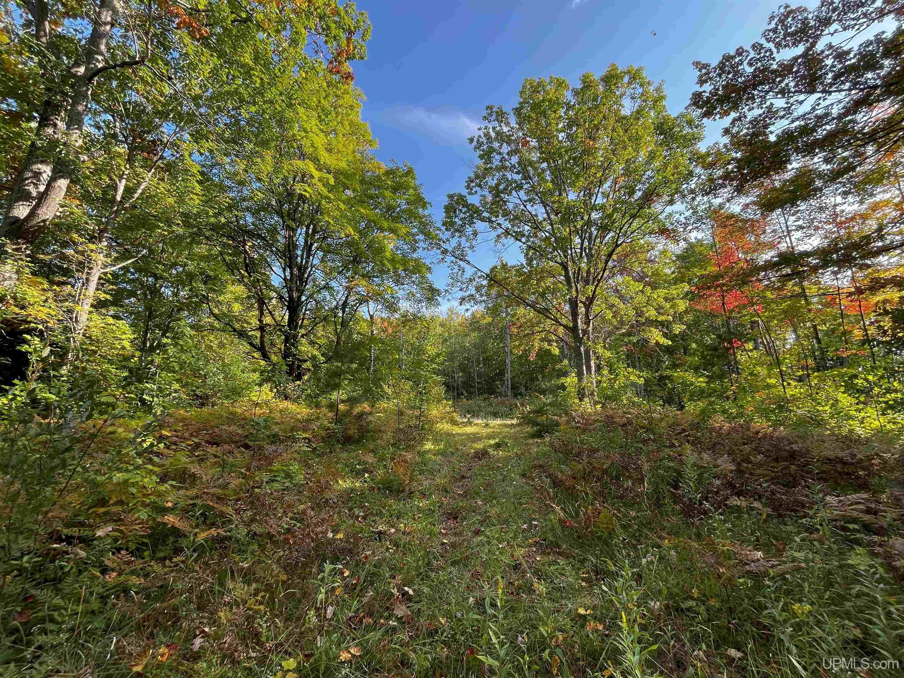 main property photo 11