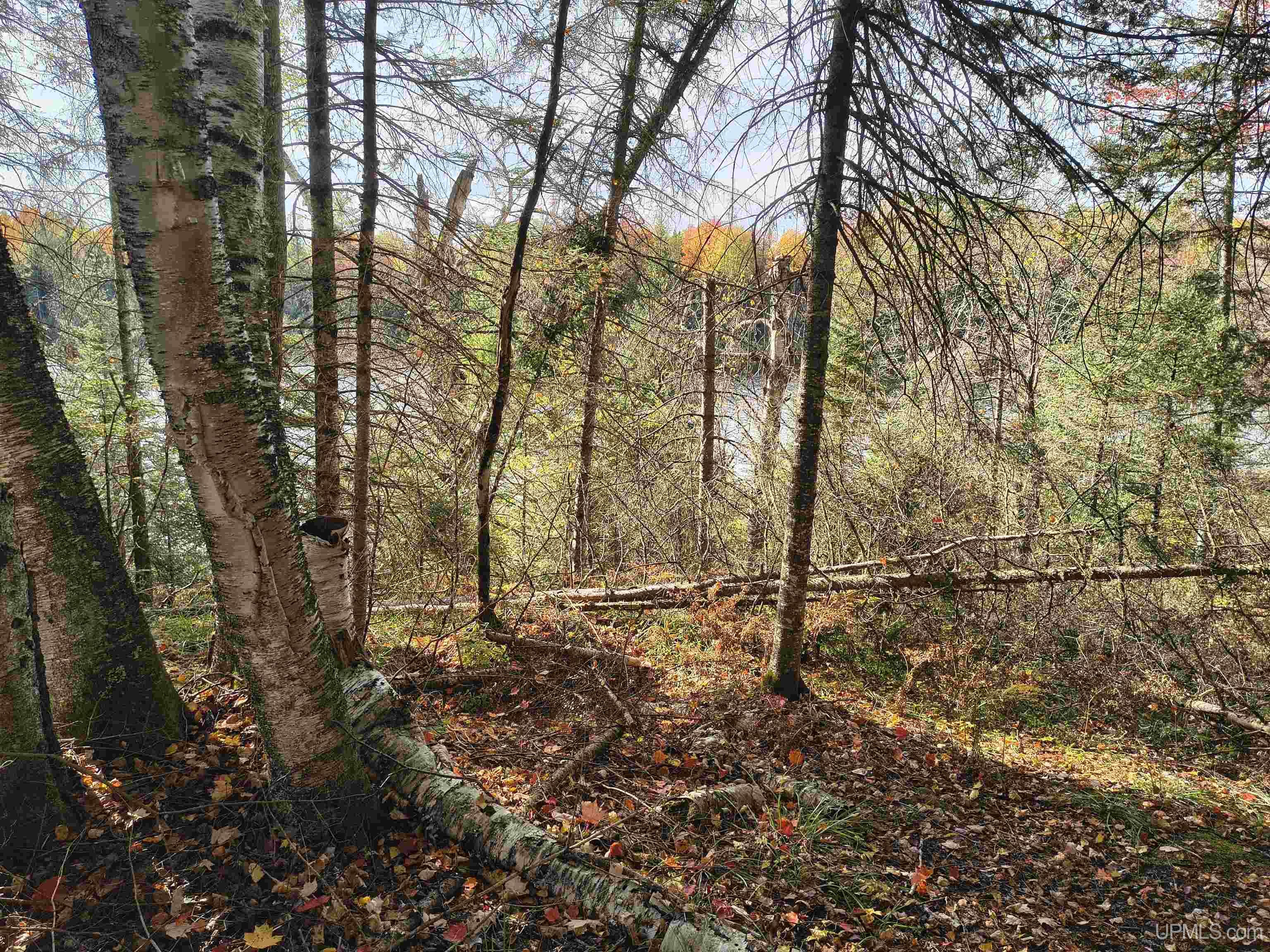 main property photo 17