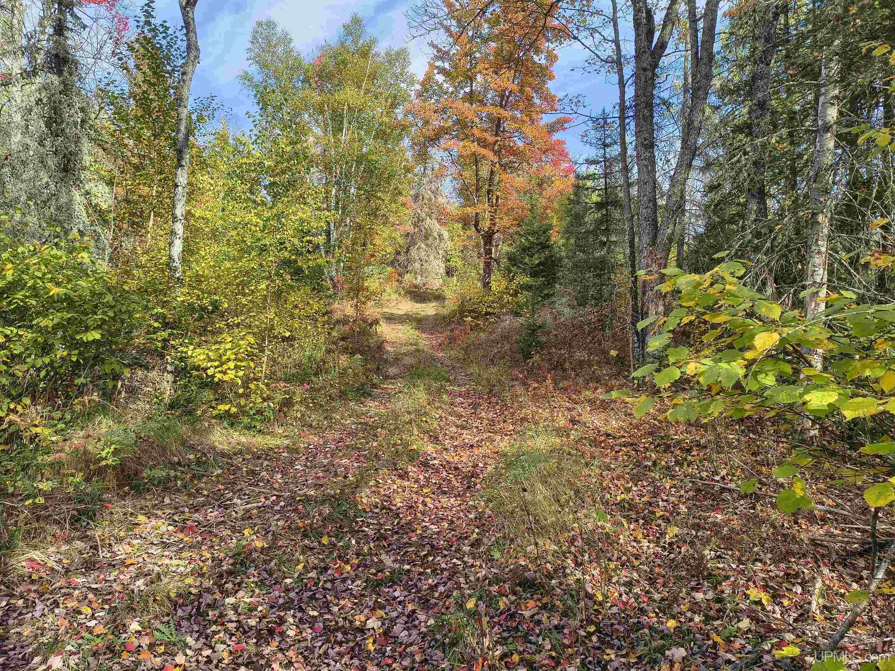 main property photo 25