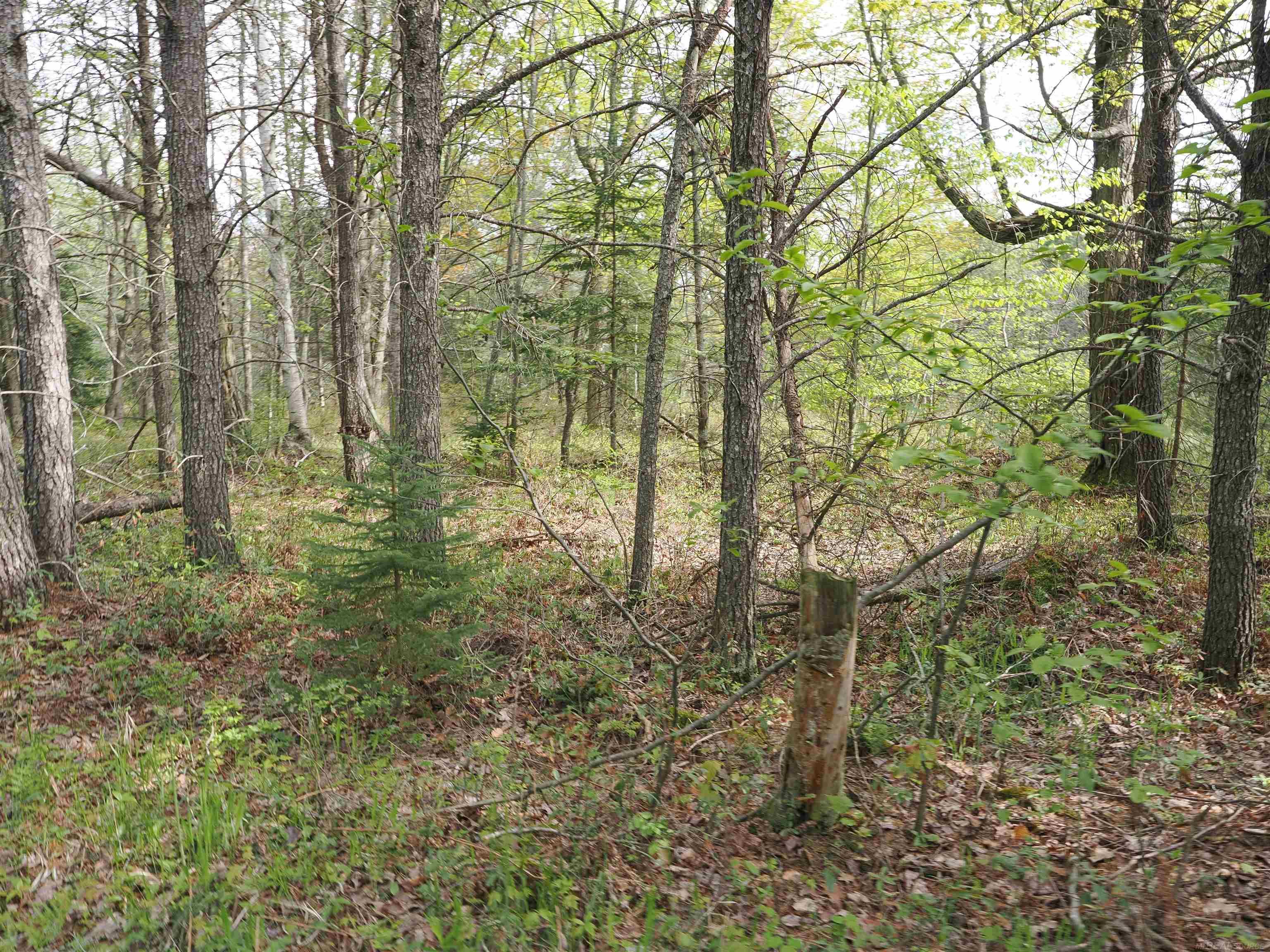 main property photo 56