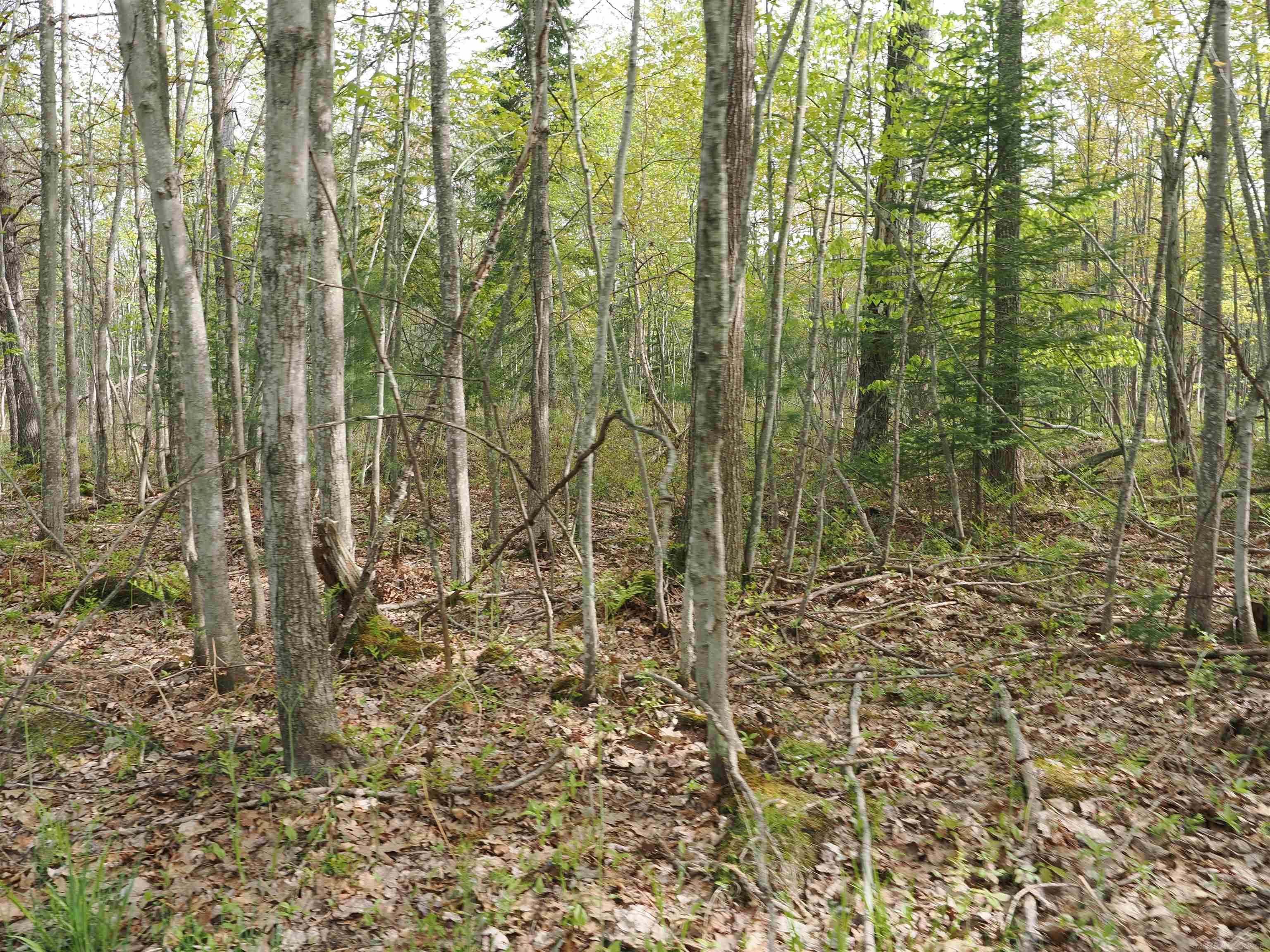 main property photo 58