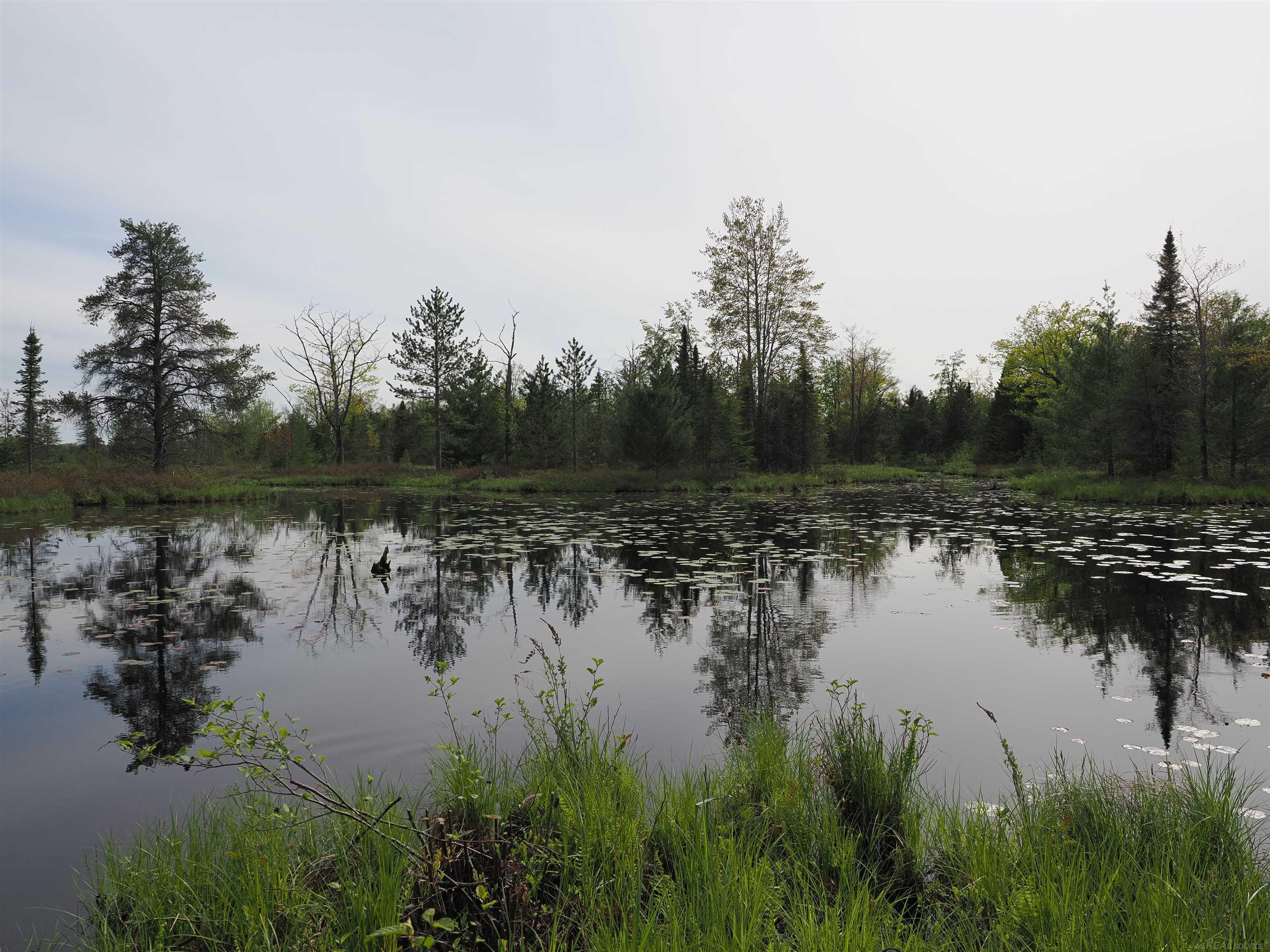 main property photo 71