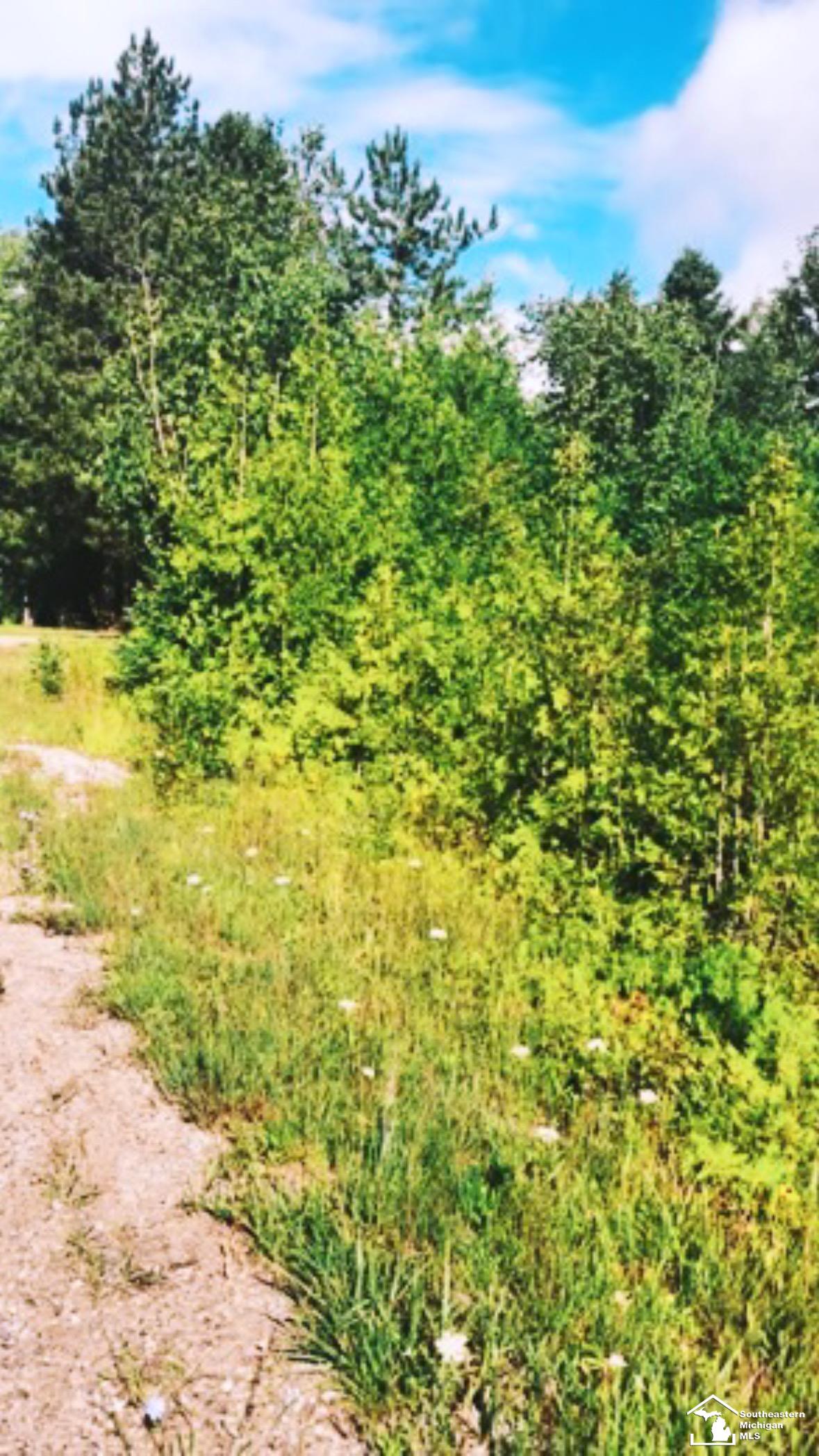 main property photo 0
