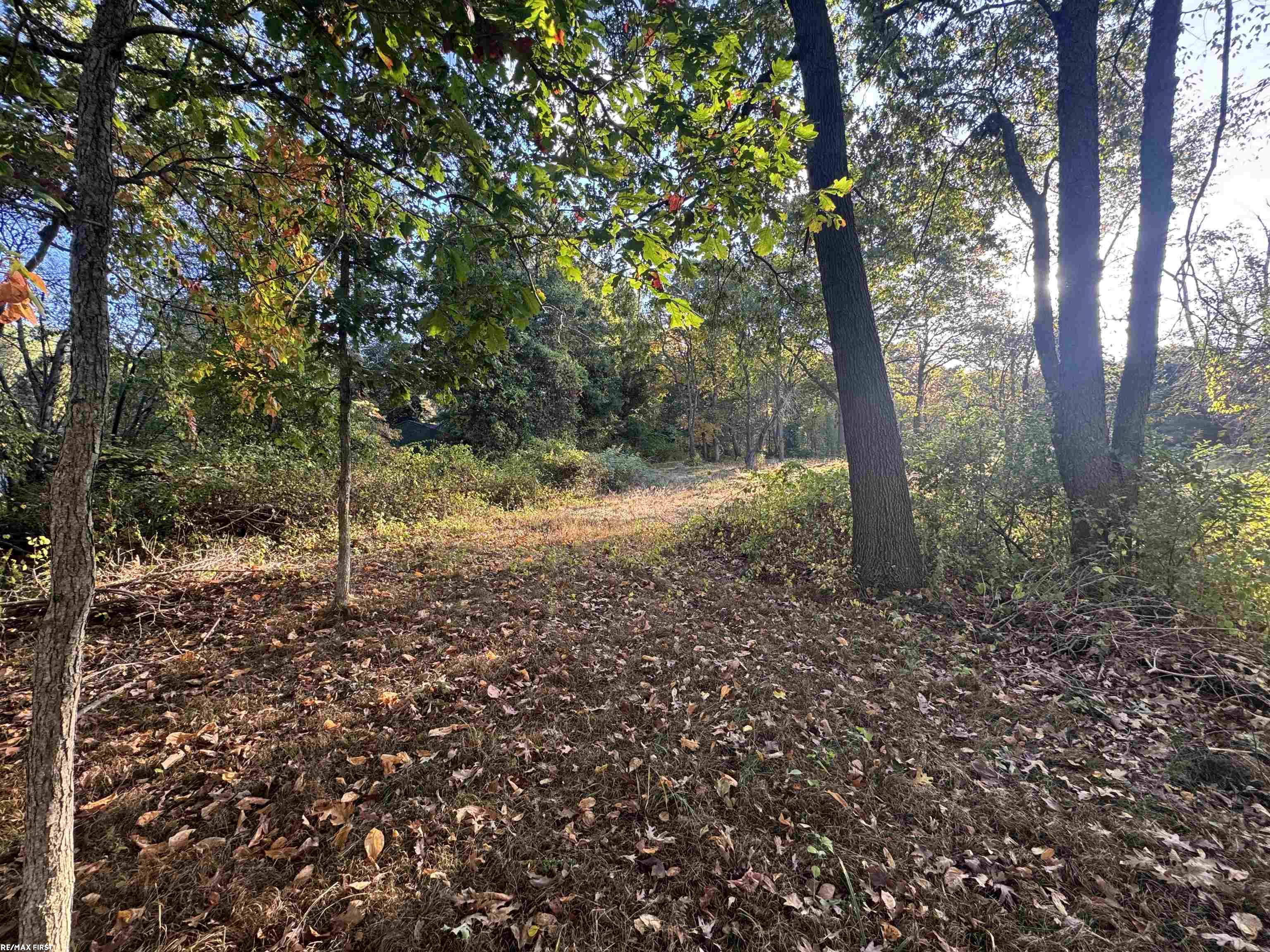 main property photo 9
