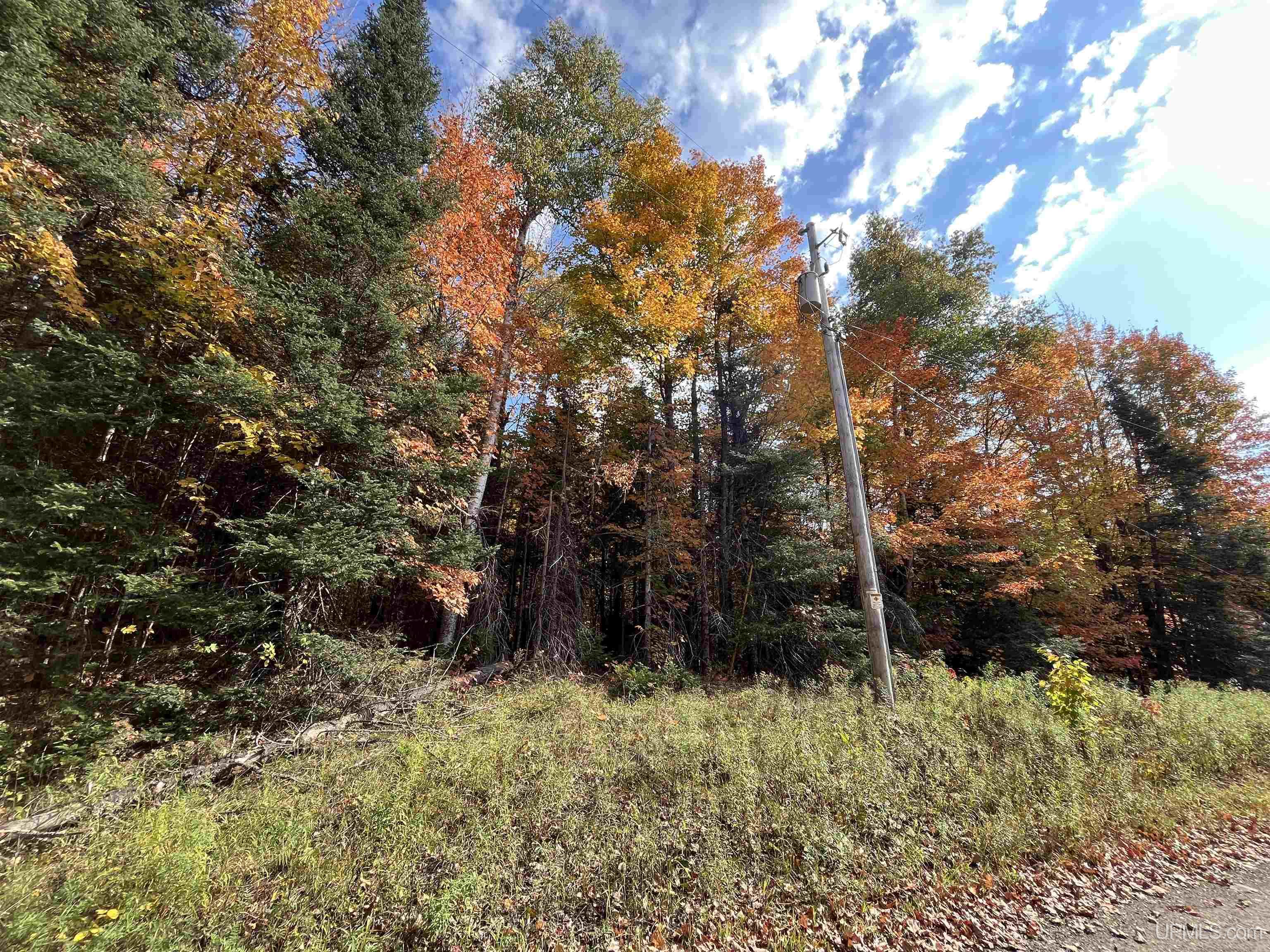 main property photo 0