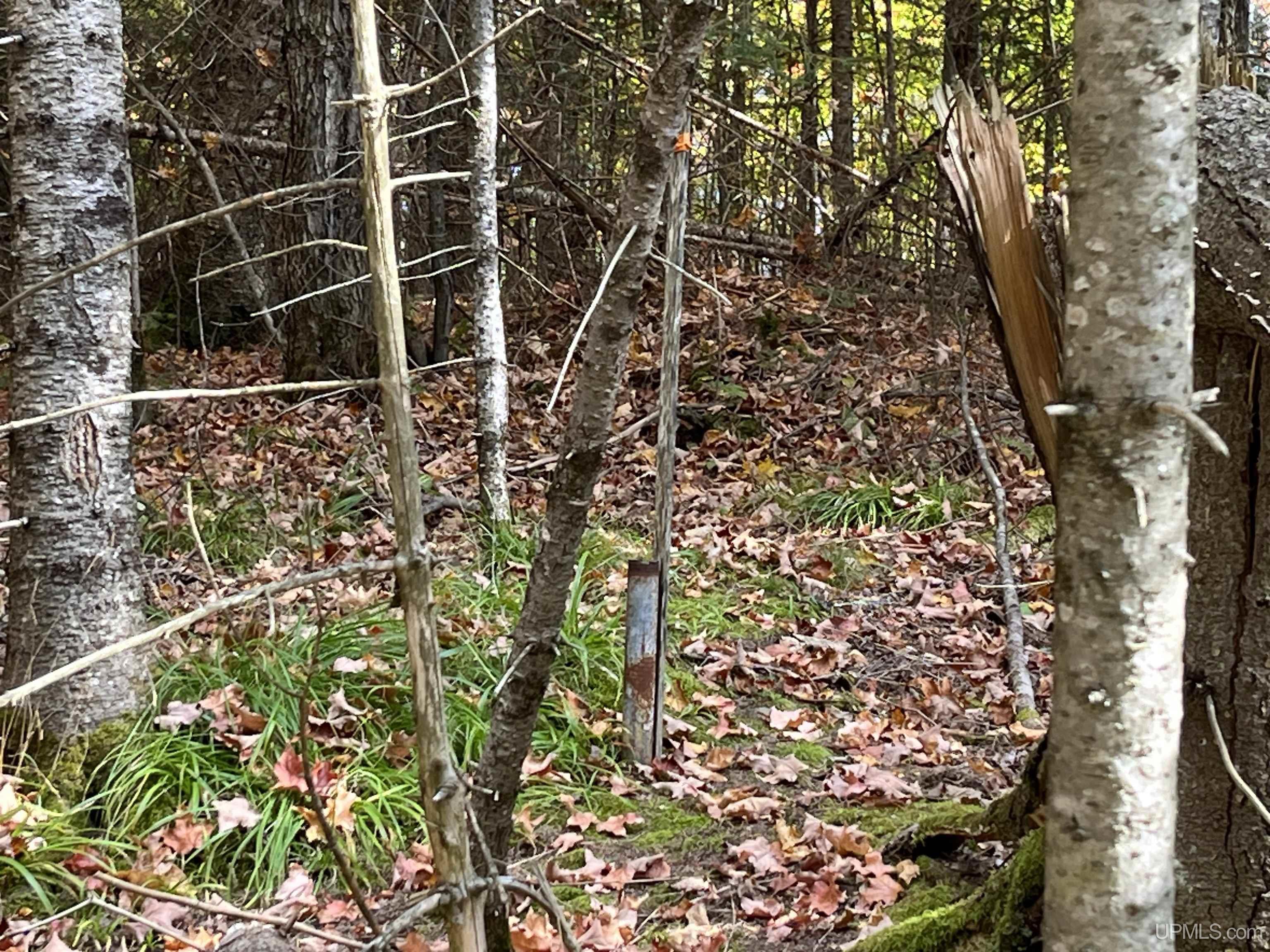 main property photo 13