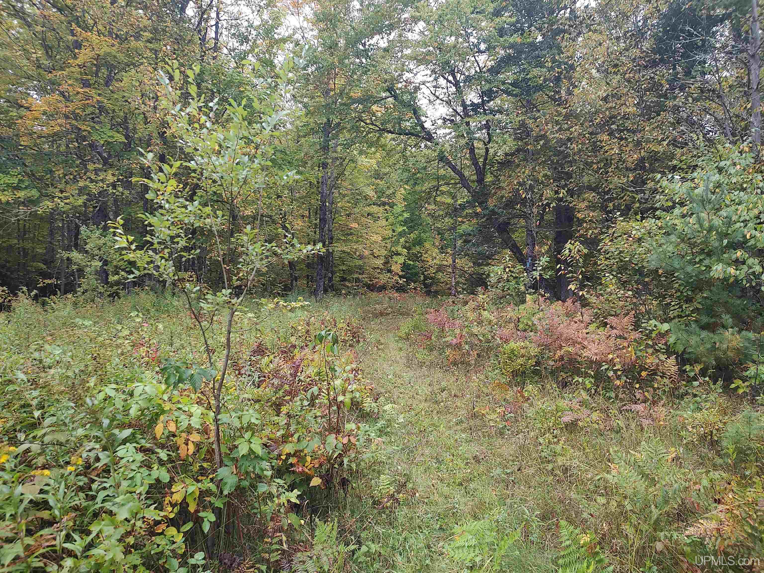 main property photo 12