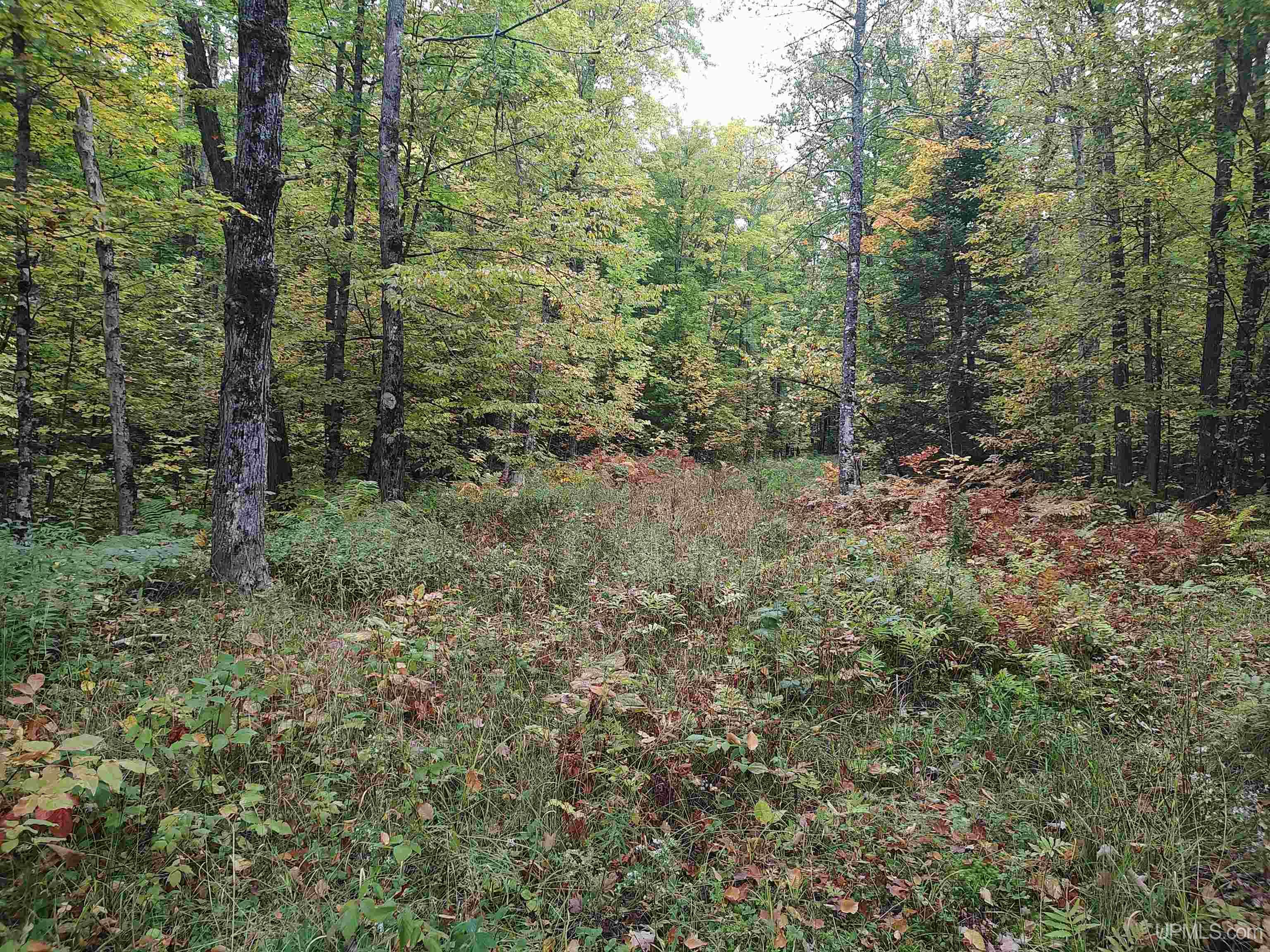 main property photo 15