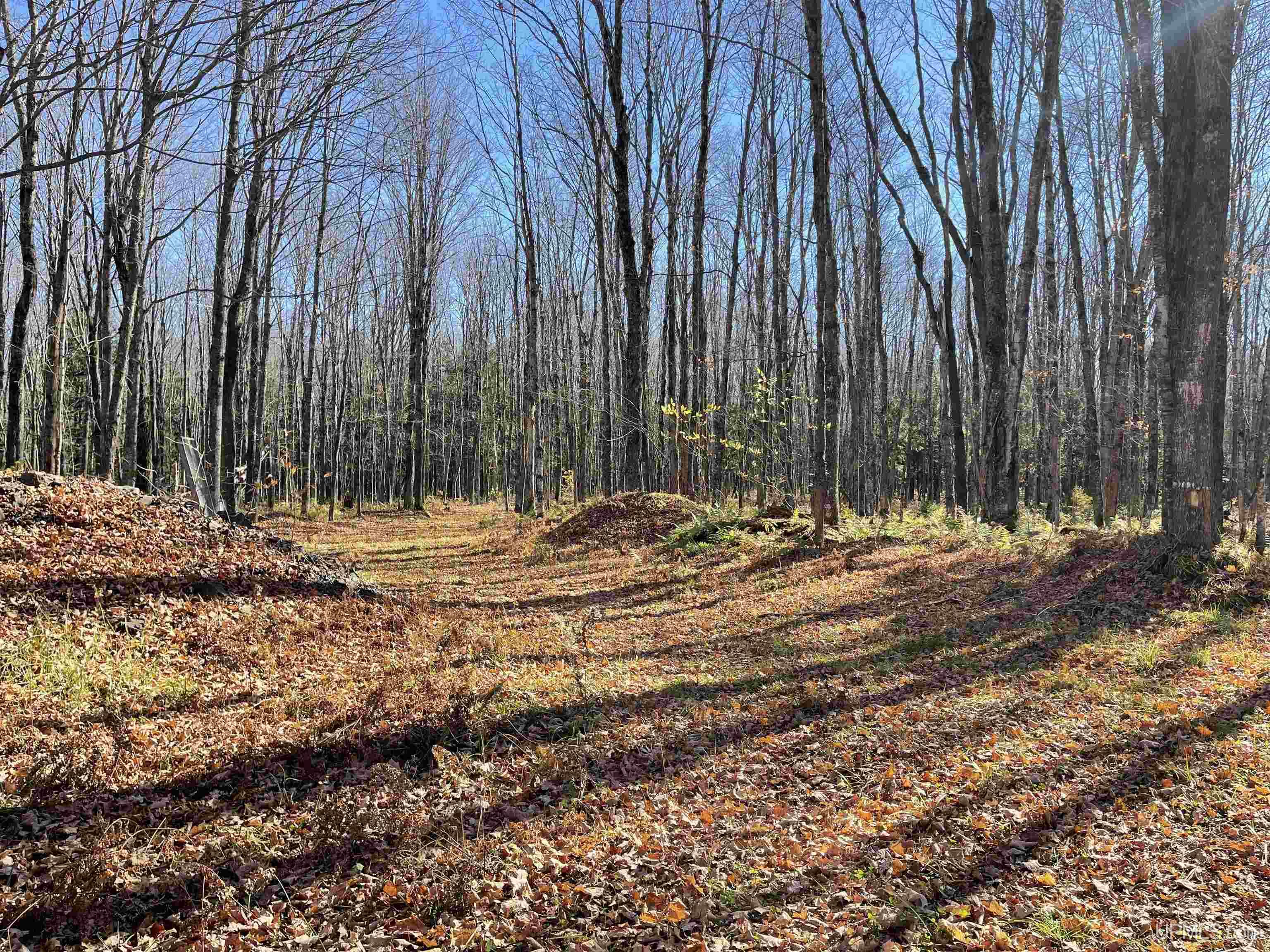 main property photo 54