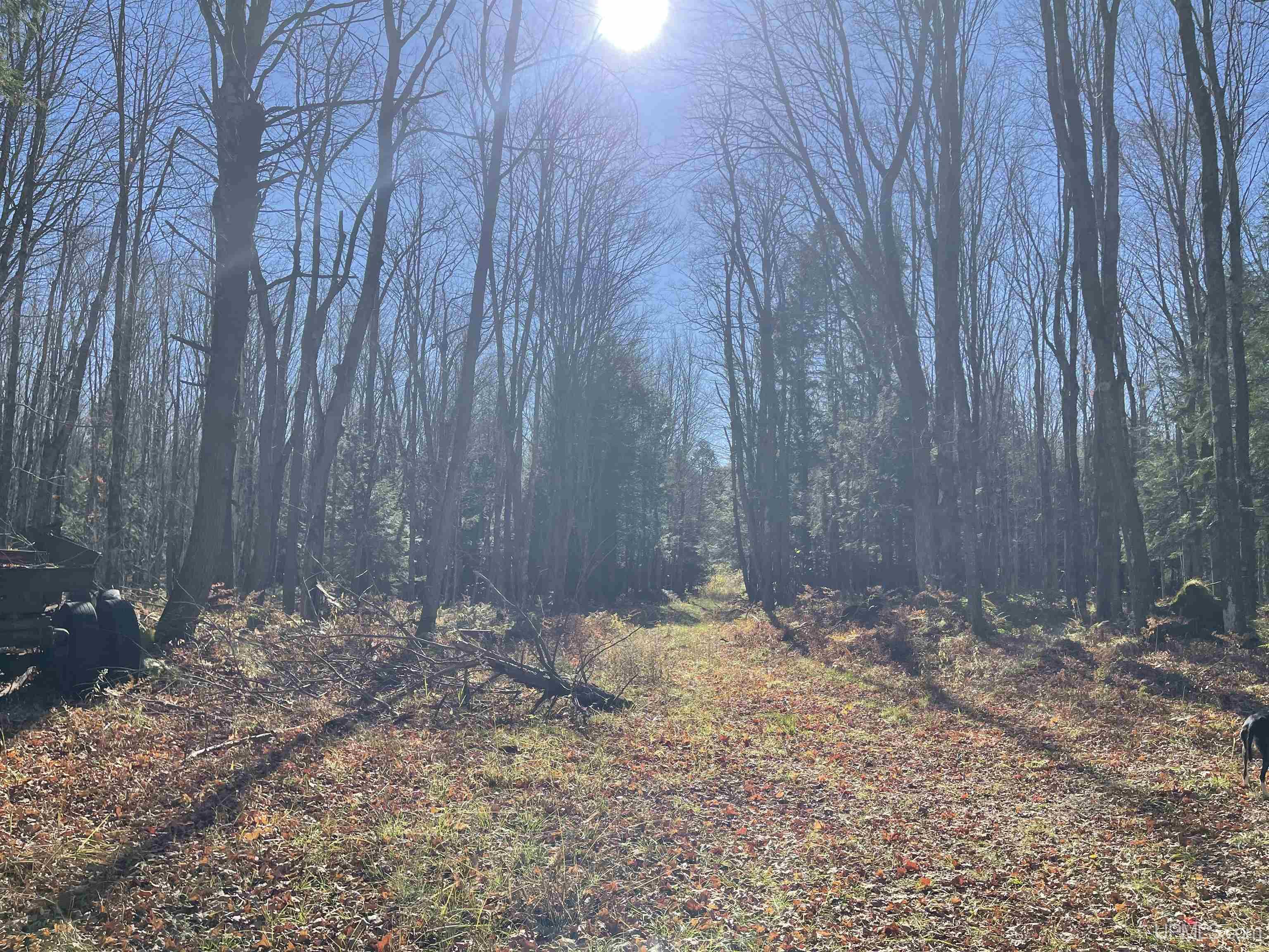 main property photo 55
