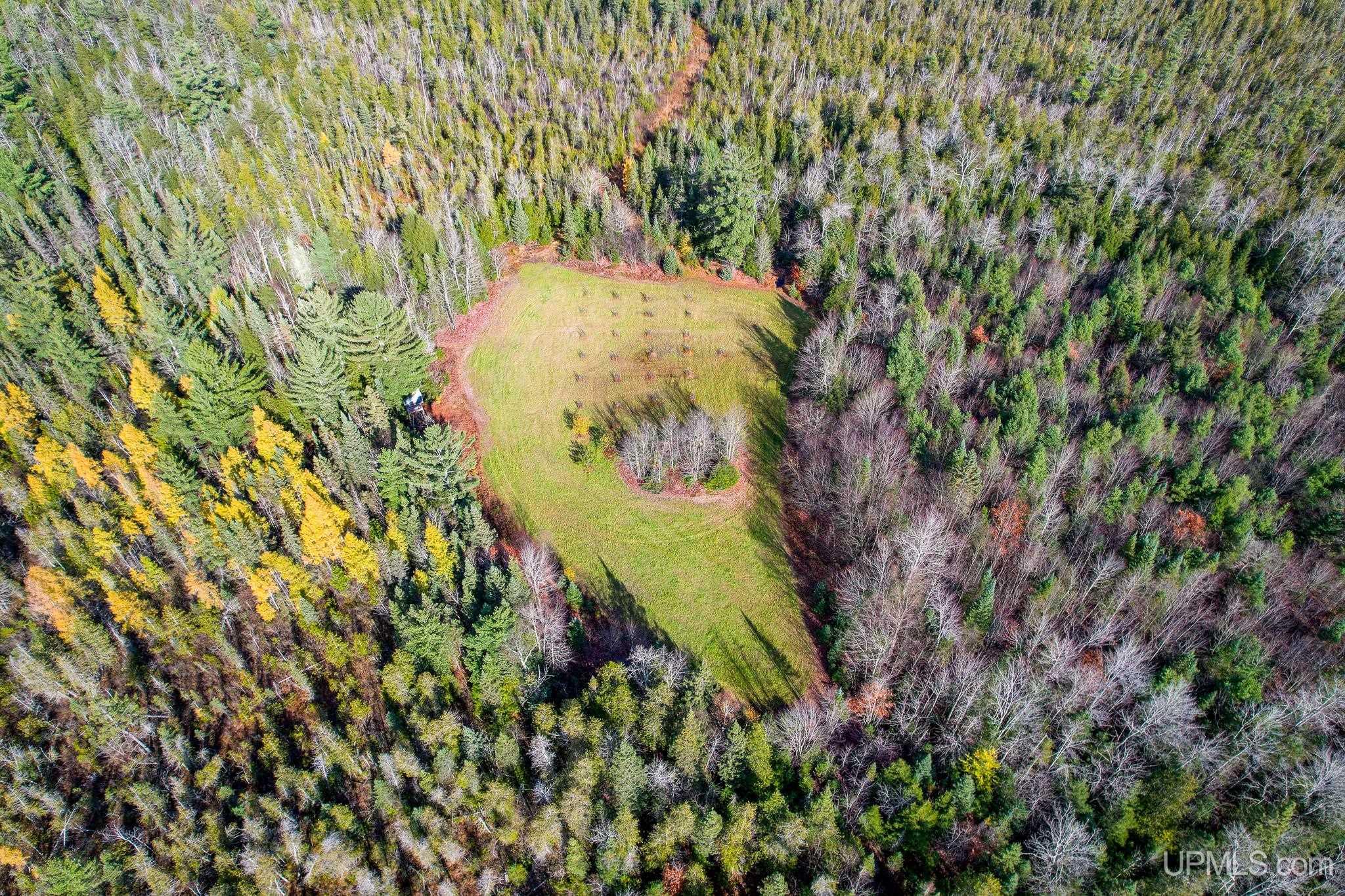 main property photo 46