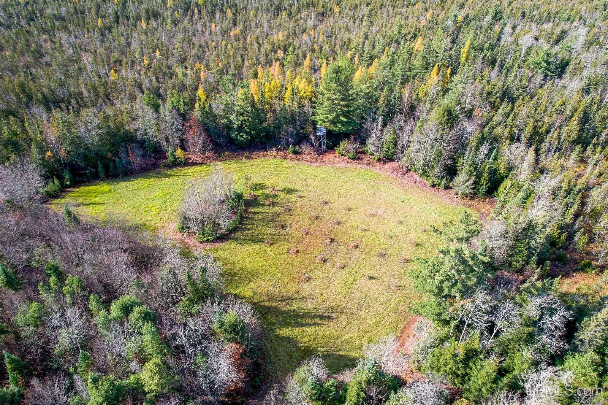 main property photo 47