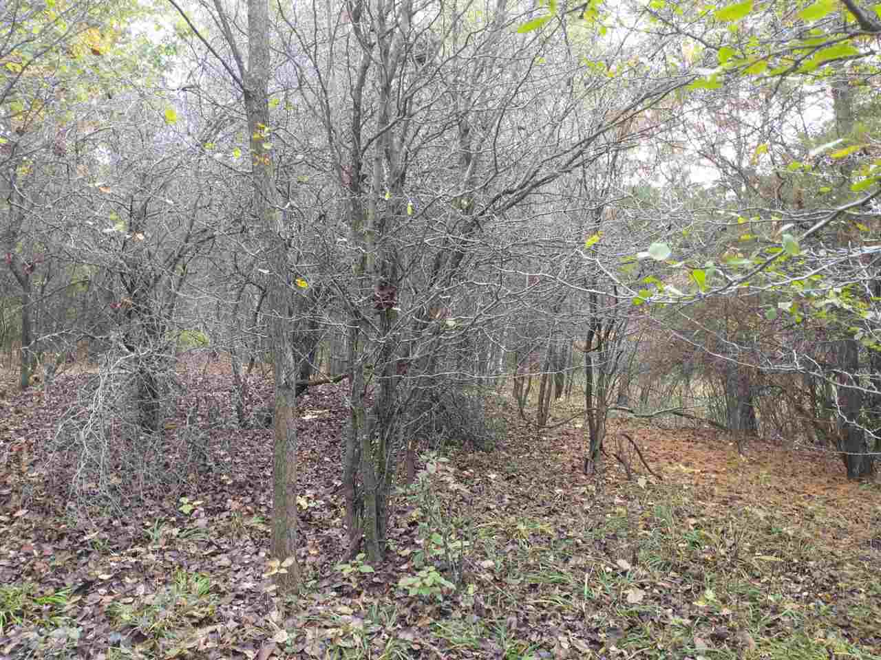 main property photo 6
