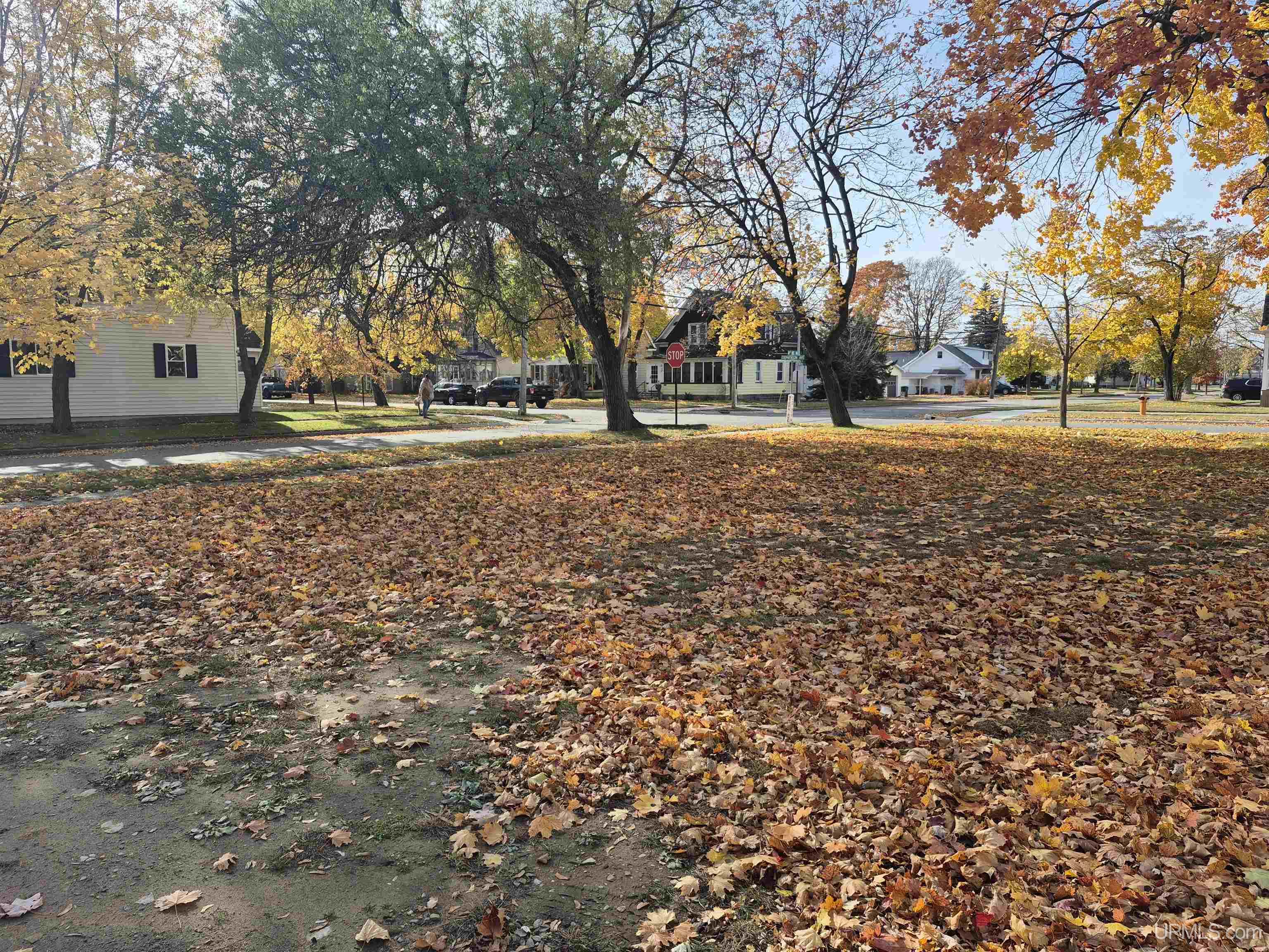 main property photo 10