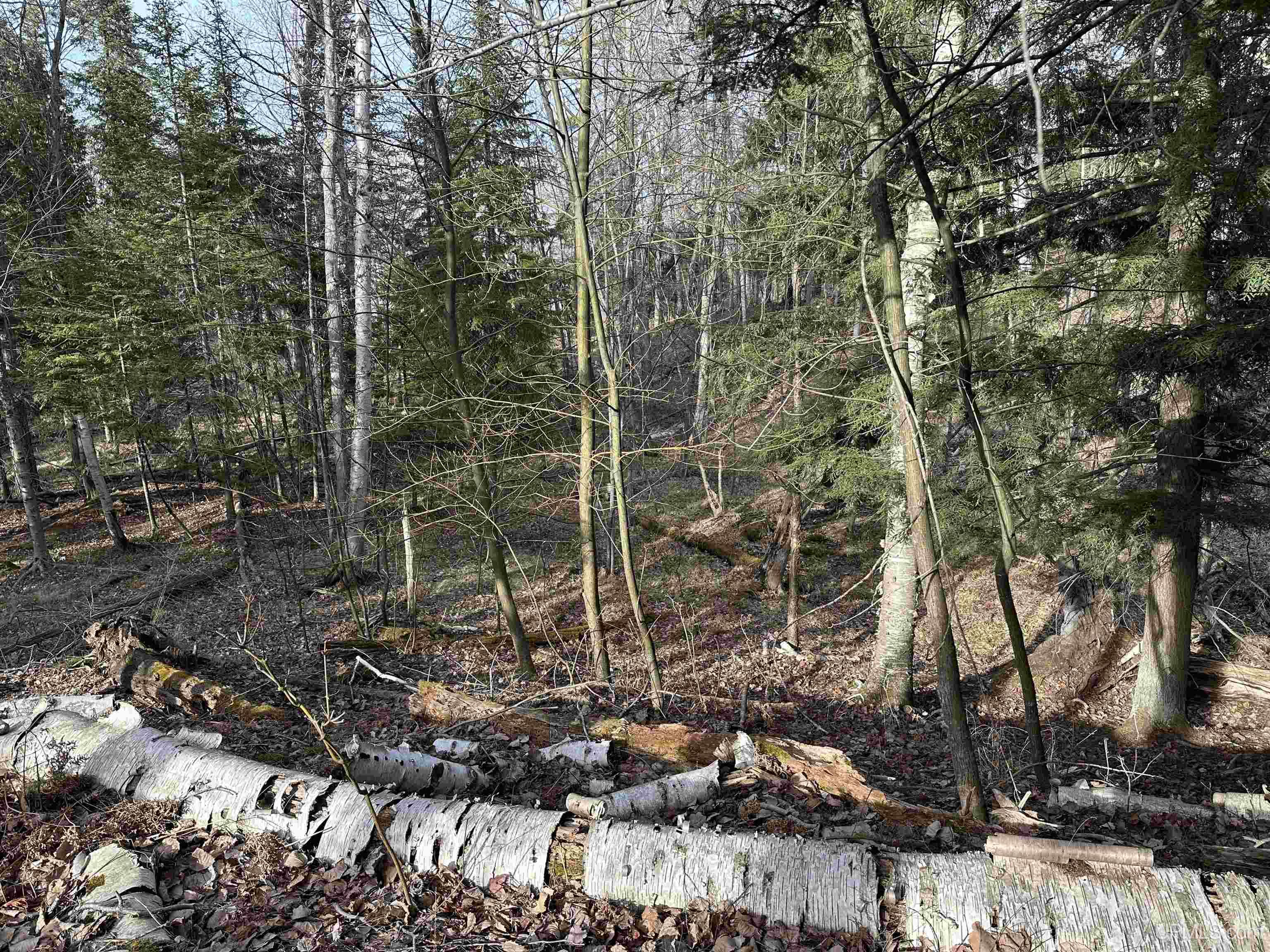 main property photo 54