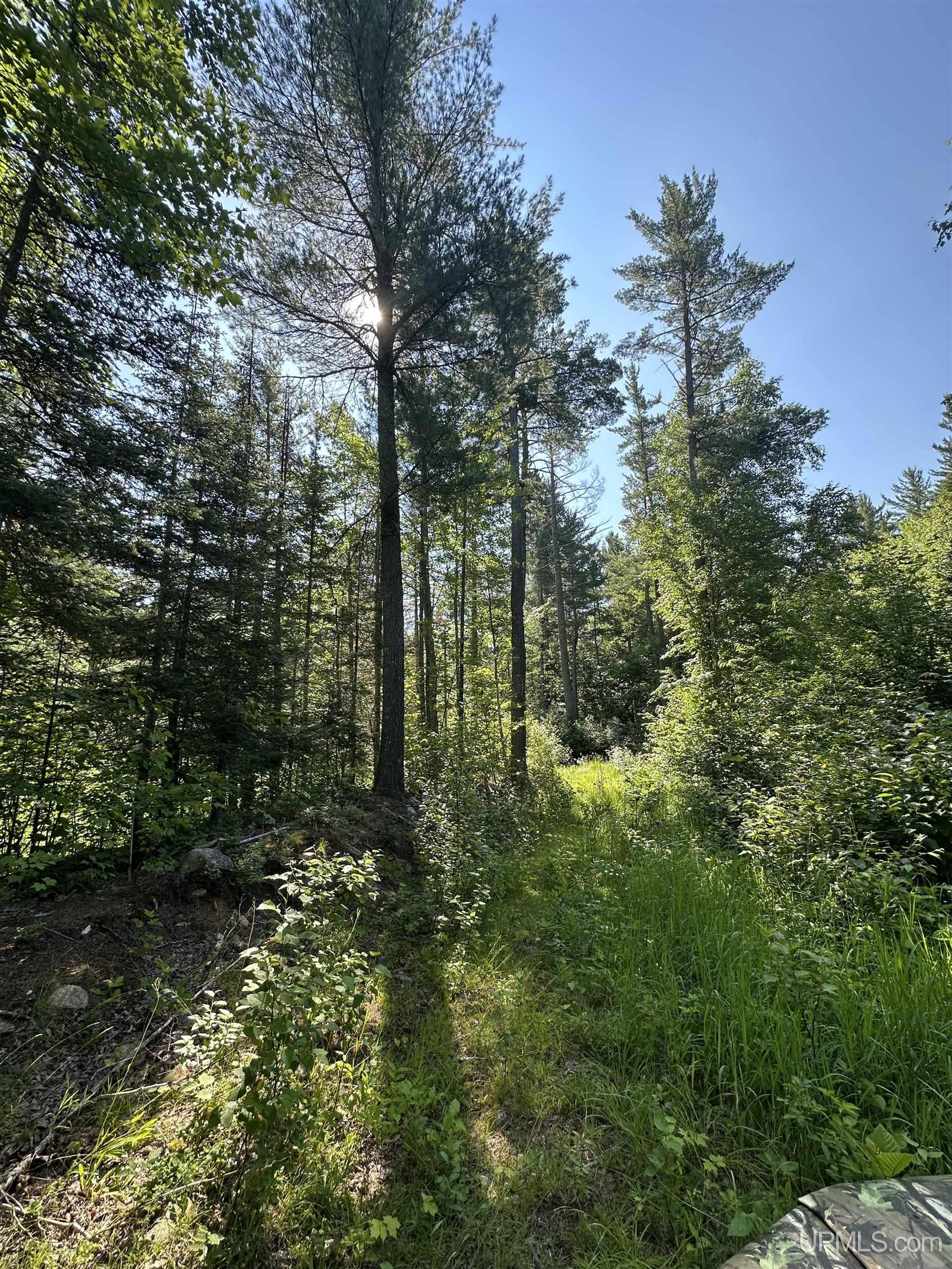 main property photo 20