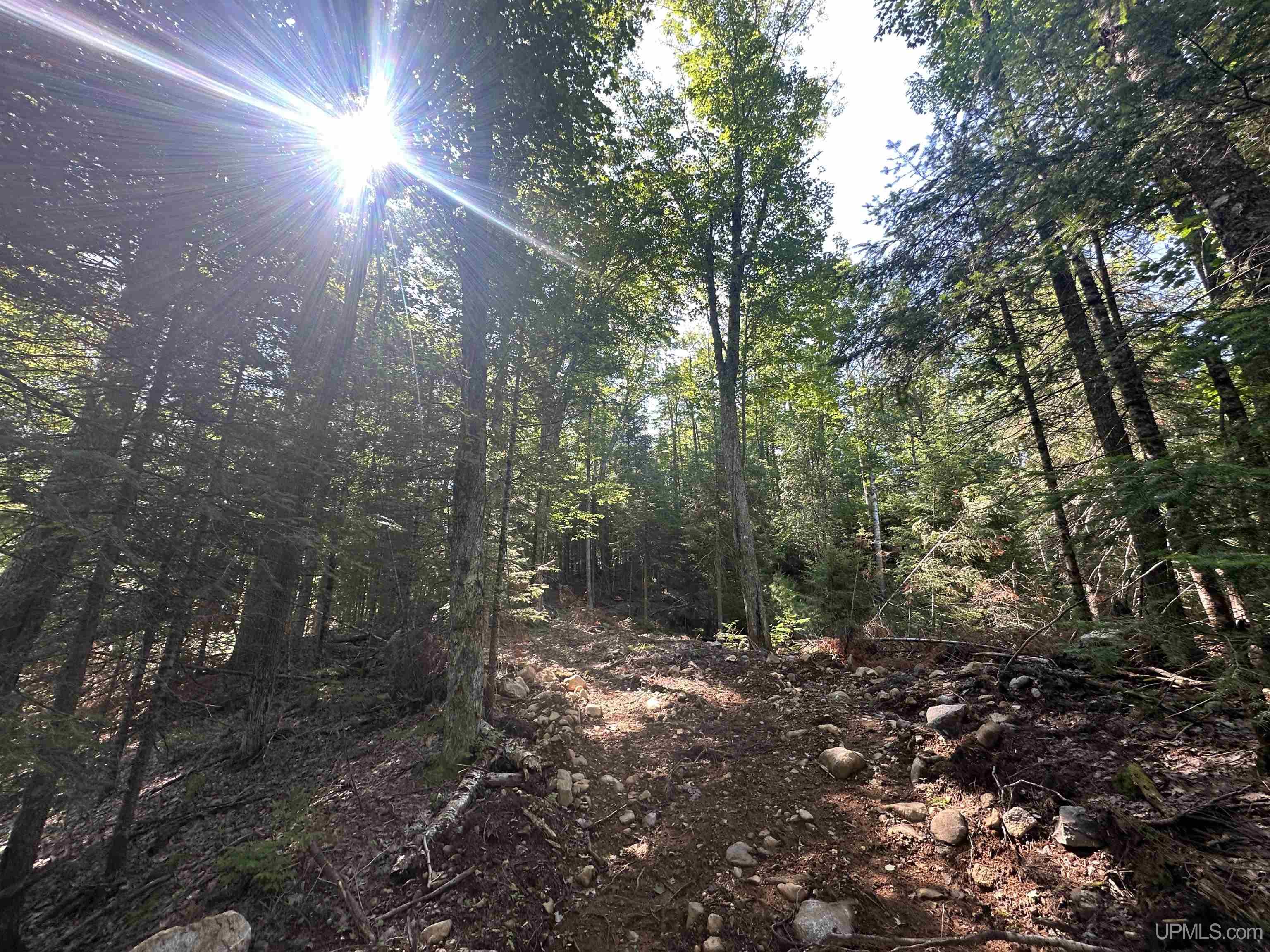 main property photo 23