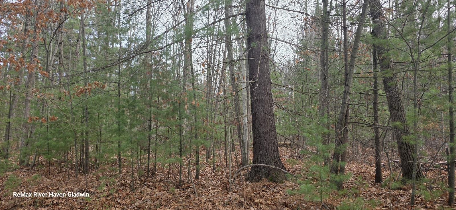 main property photo 0