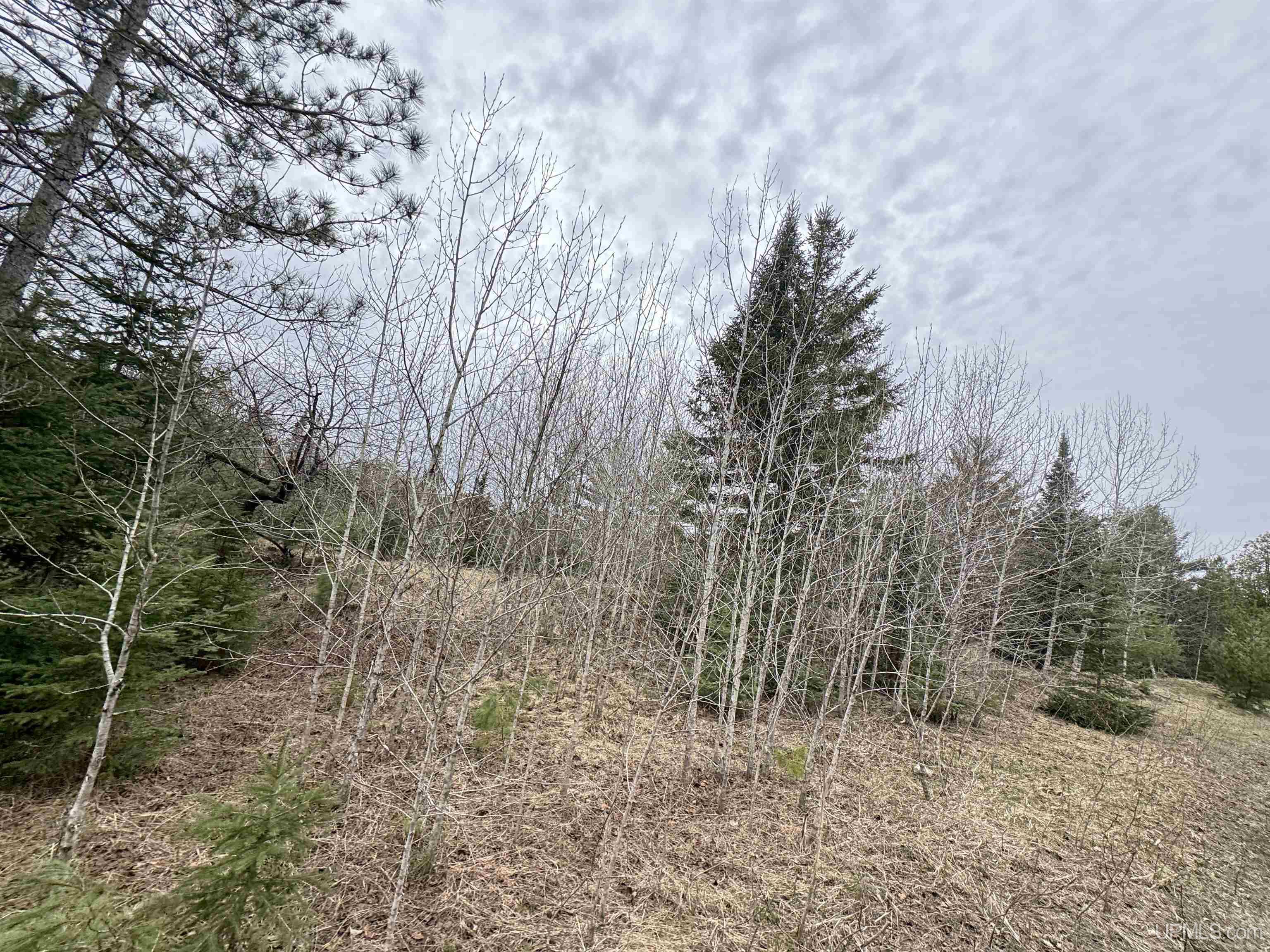 main property photo 42