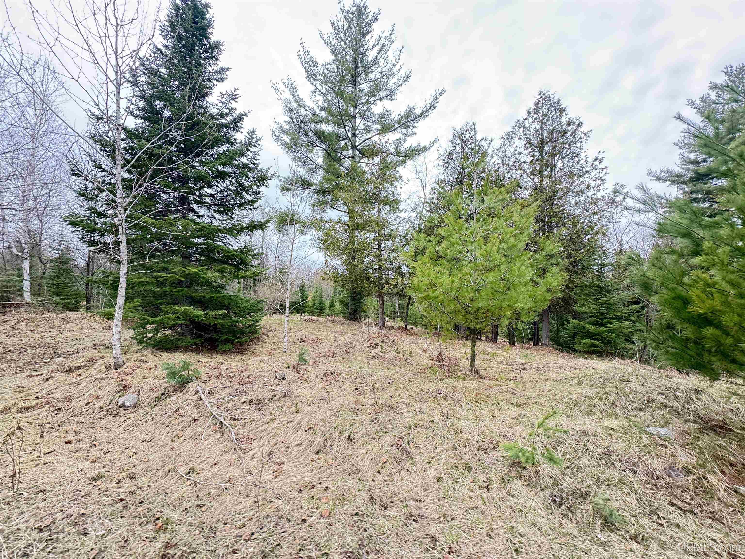 main property photo 44