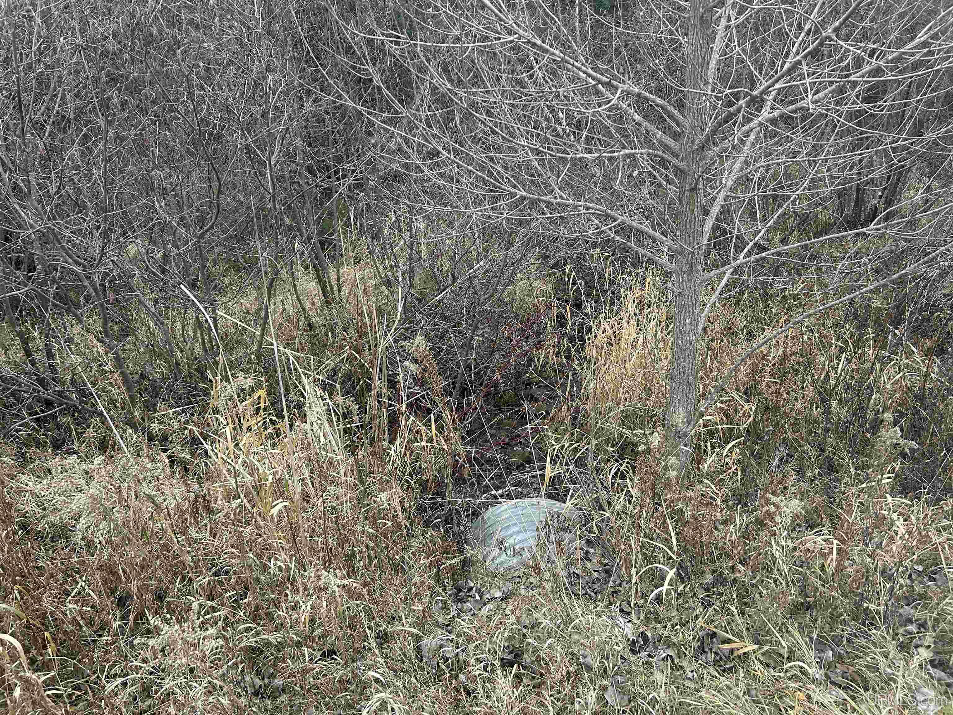 main property photo 66