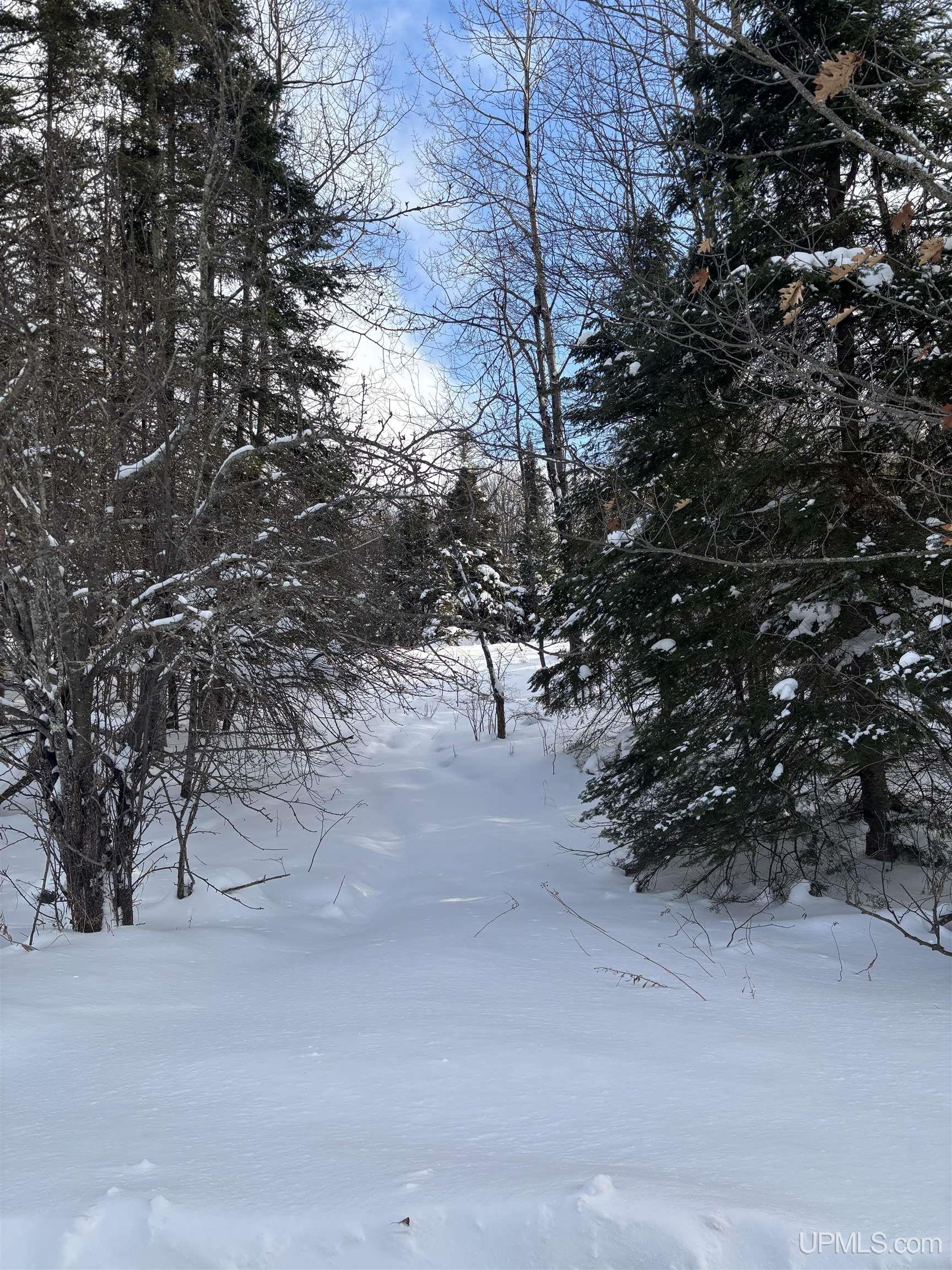 main property photo 8