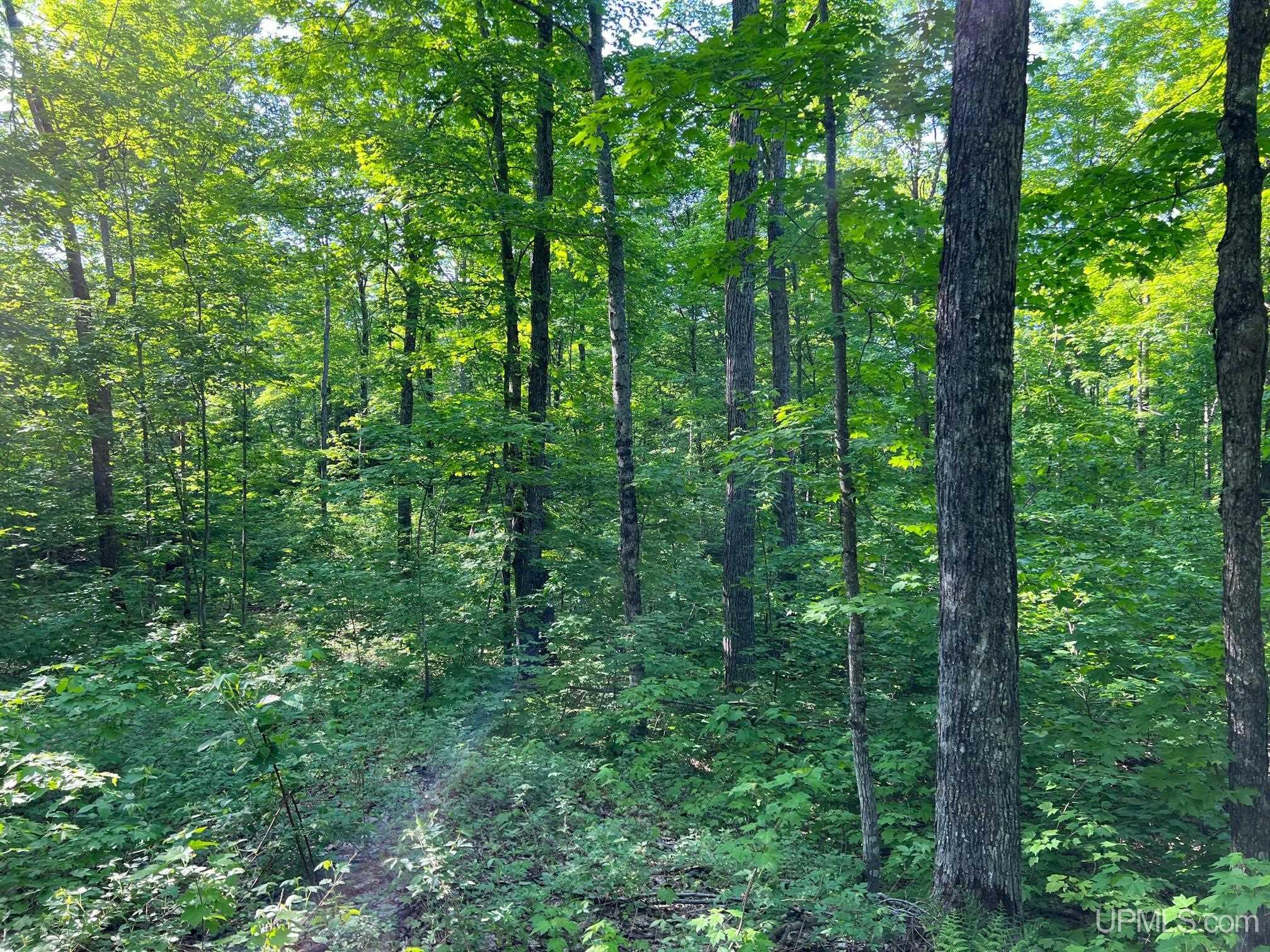 main property photo 12