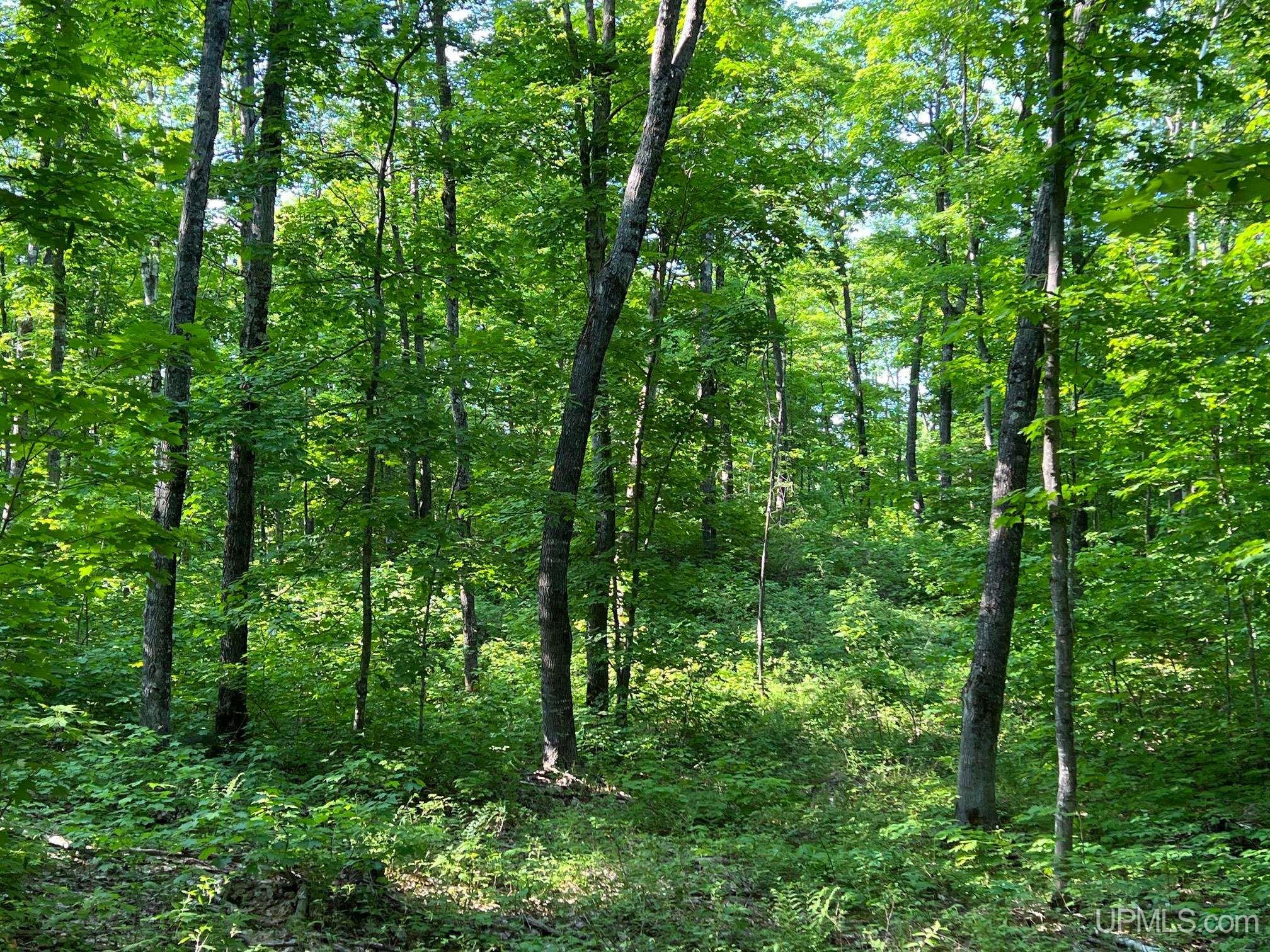 main property photo 16