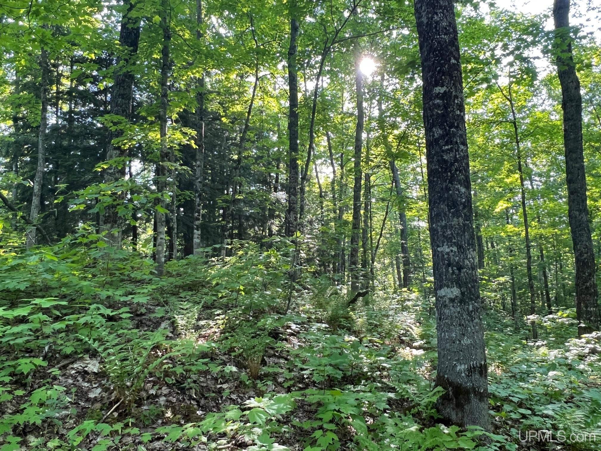 main property photo 17