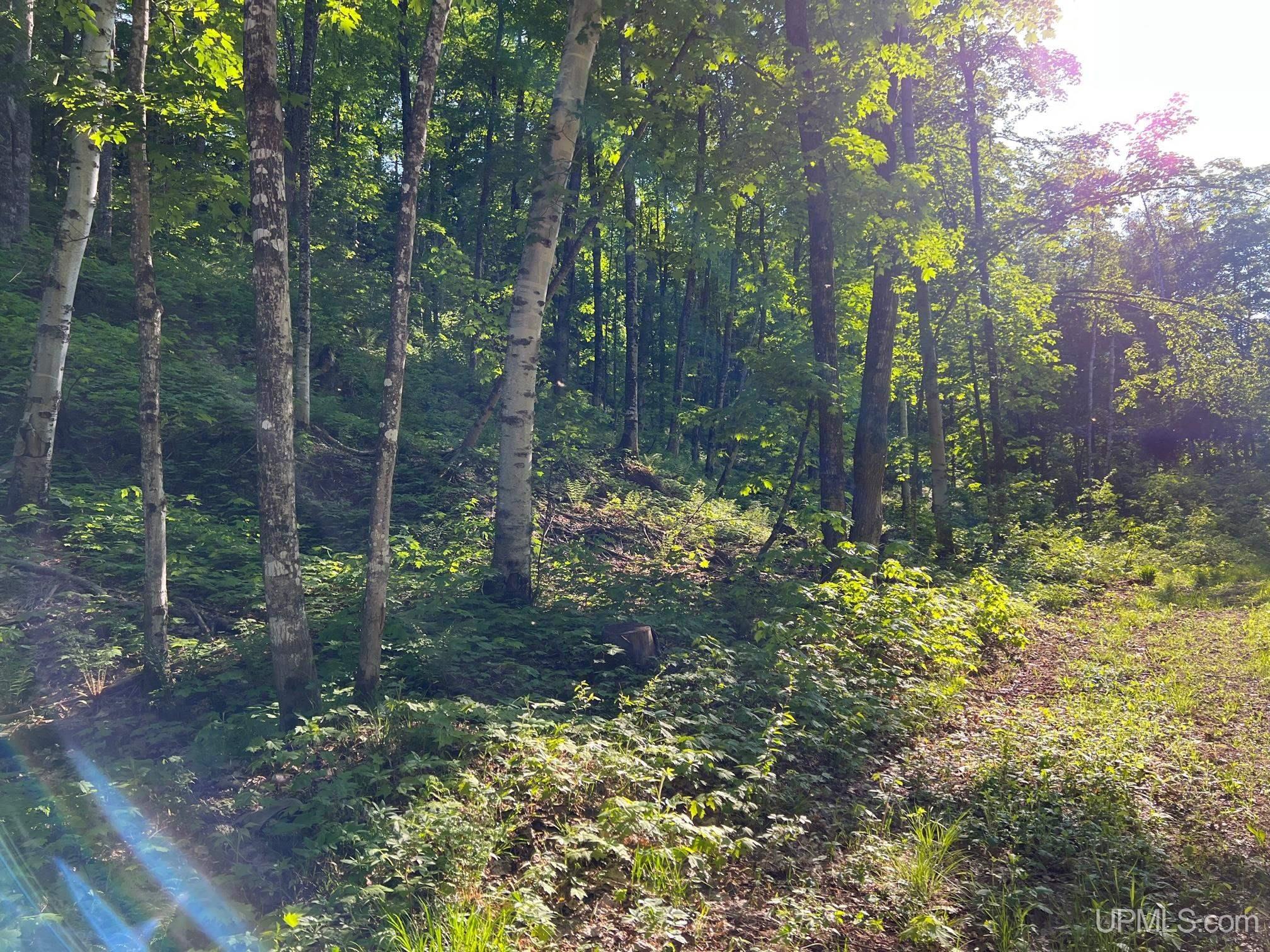 main property photo 20