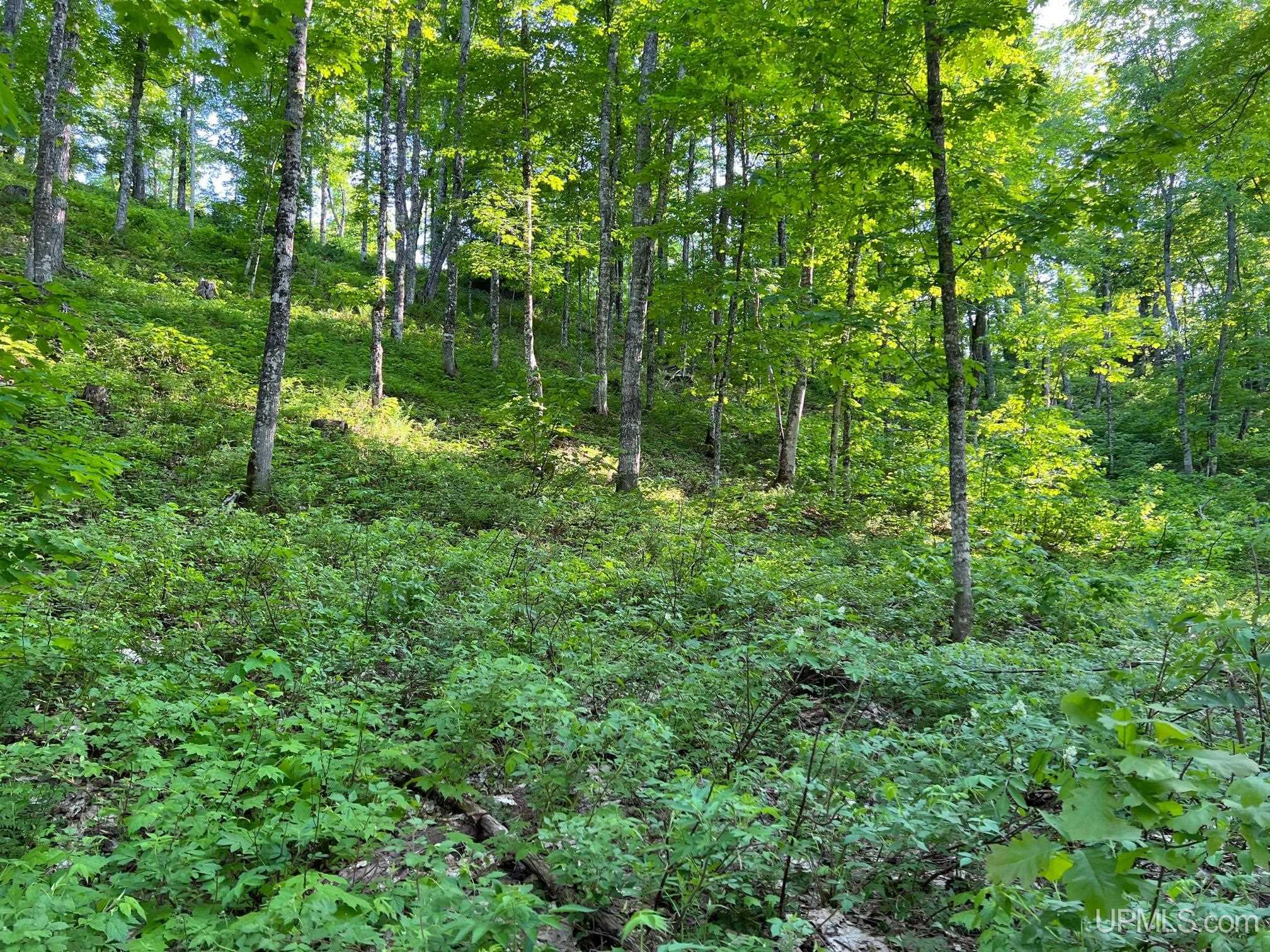 main property photo 22