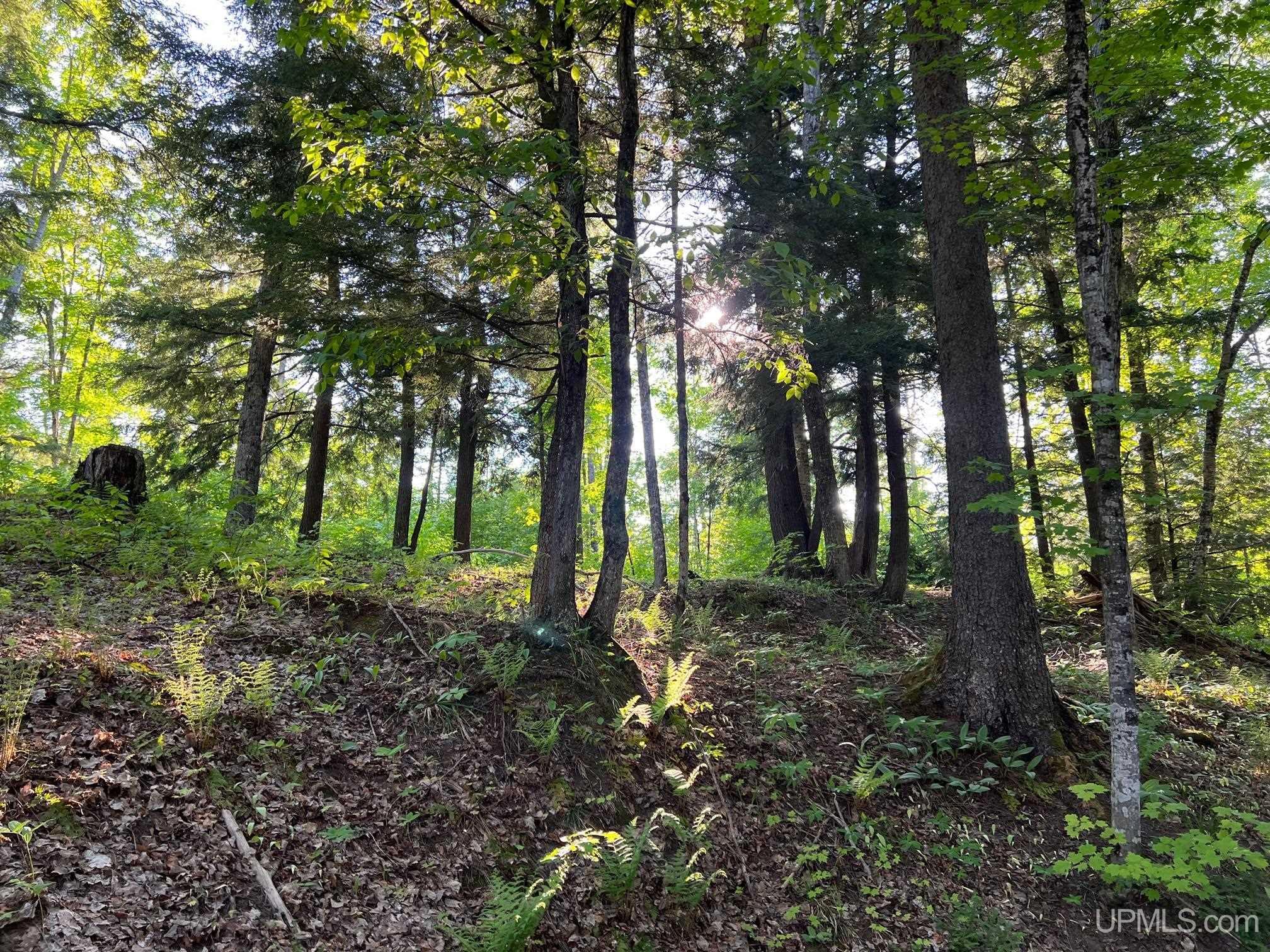 main property photo 27