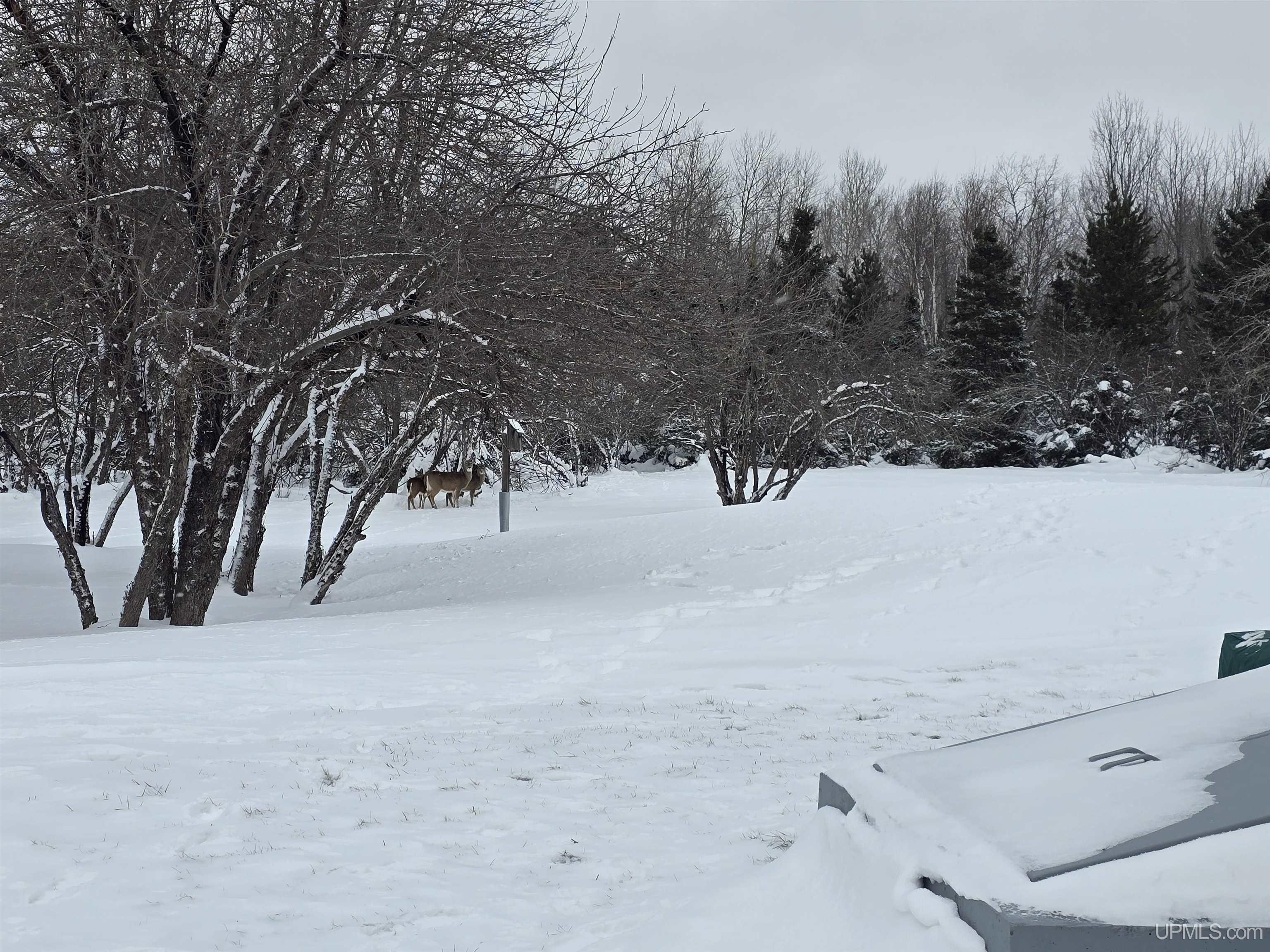 main property photo 46