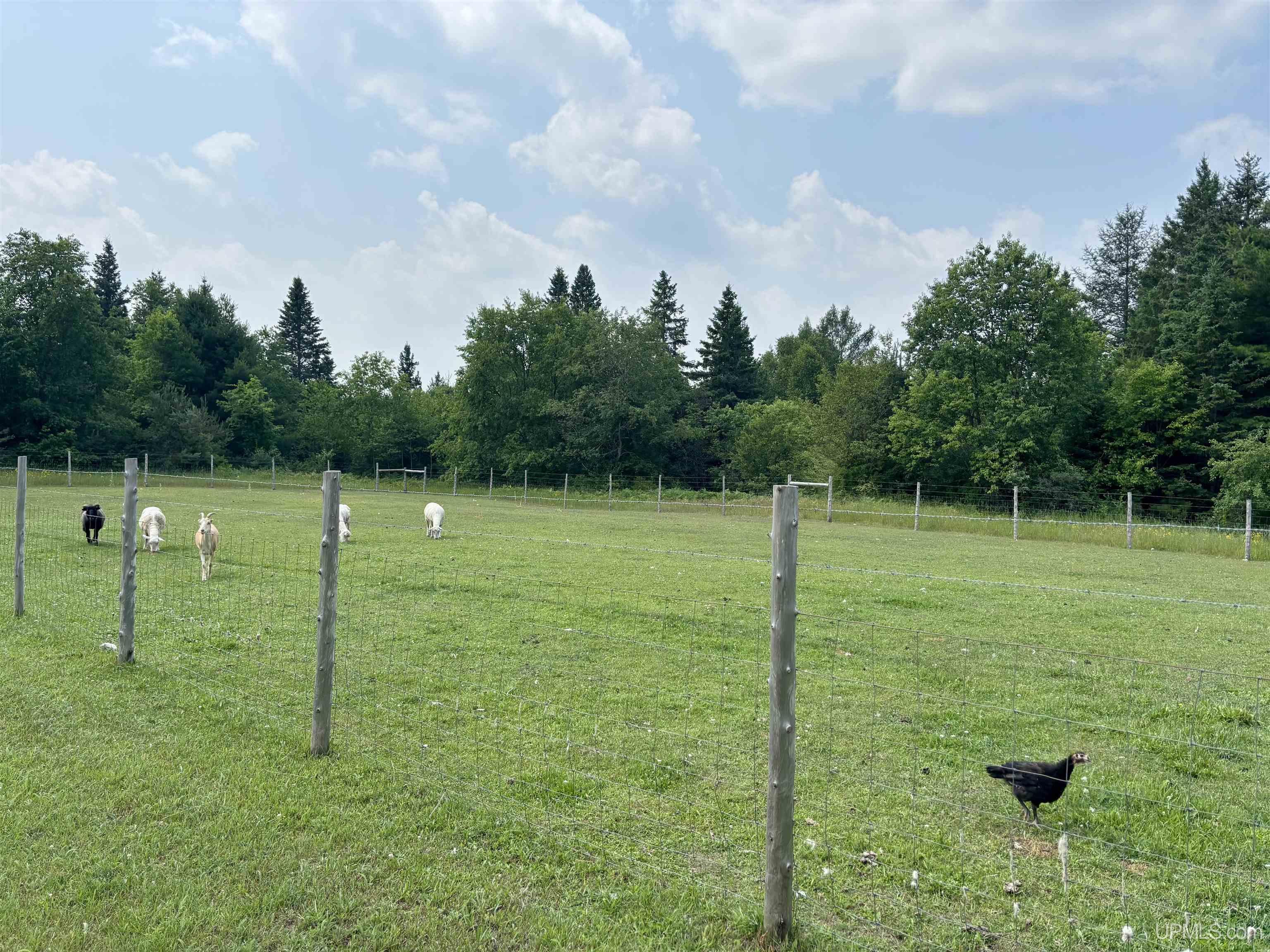 main property photo 59
