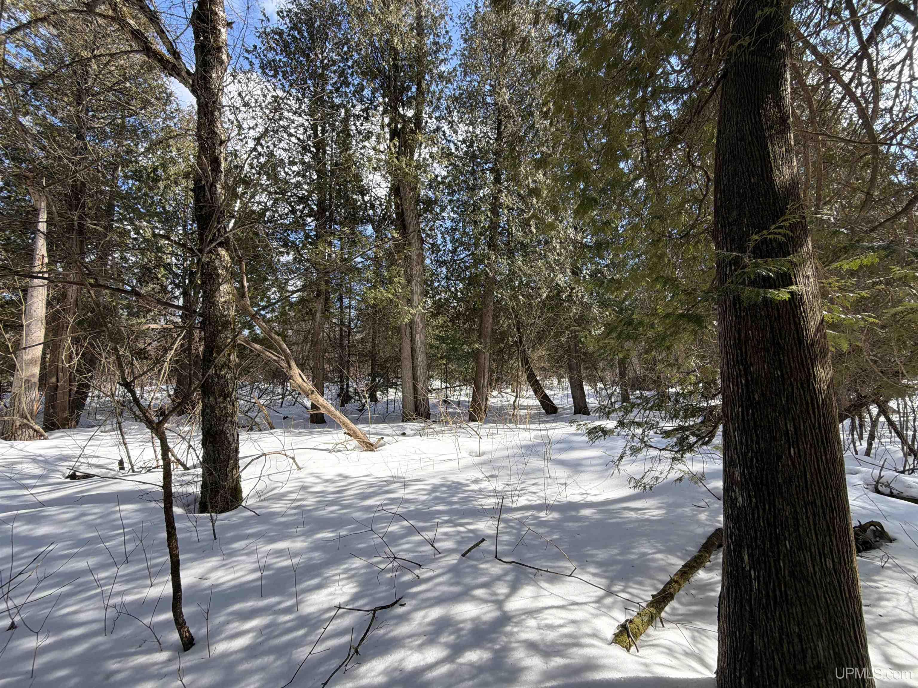main property photo 20