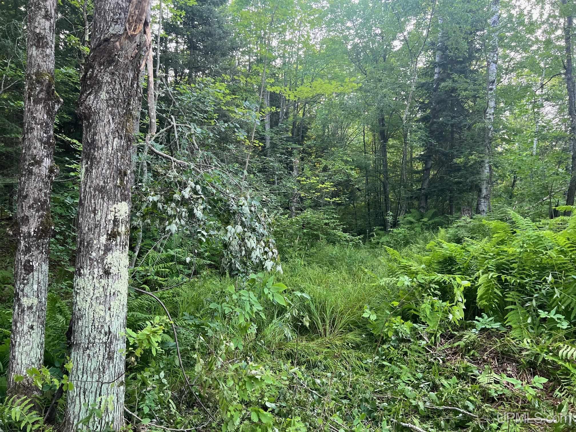 main property photo 13