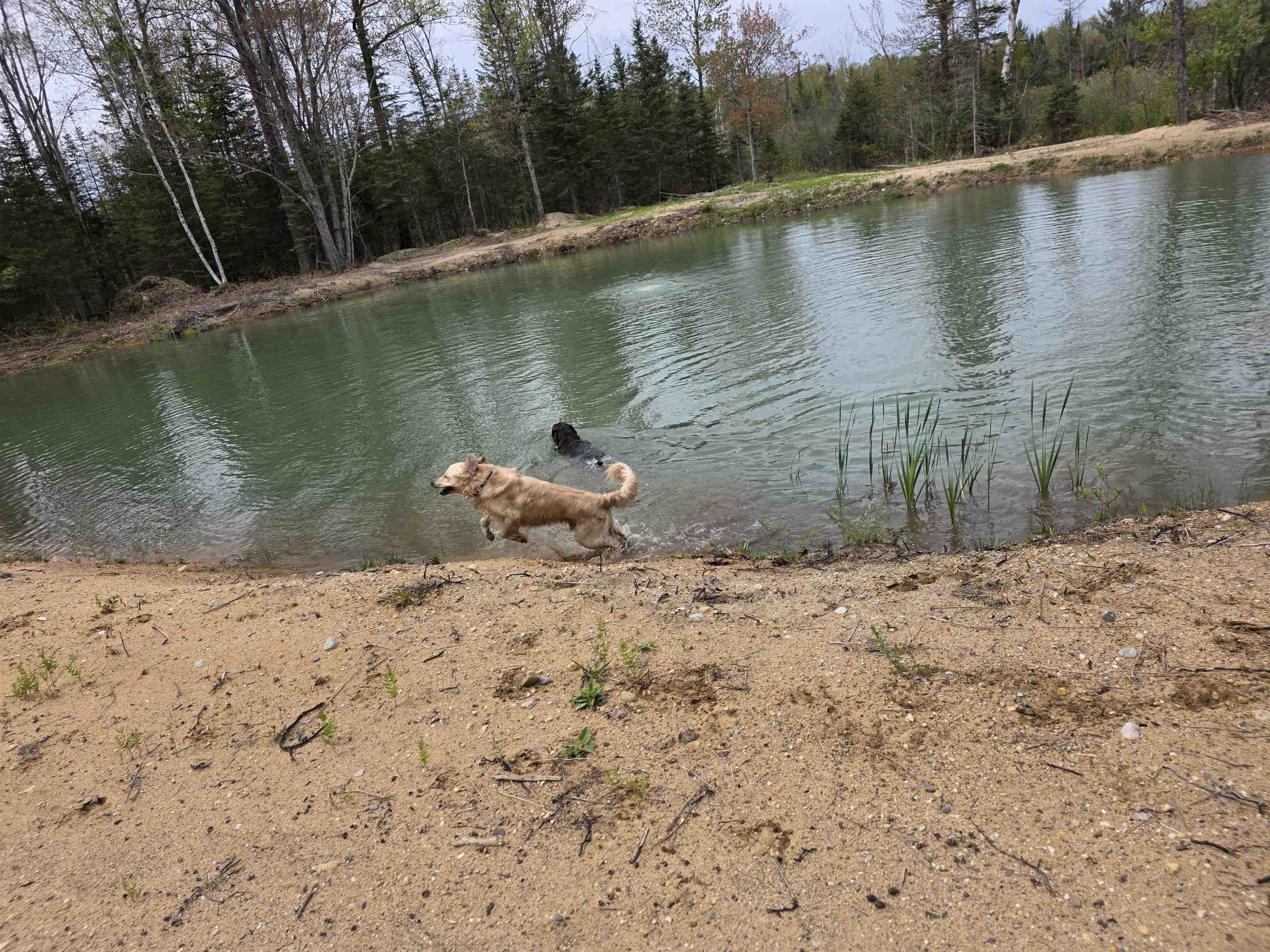 main property photo 61