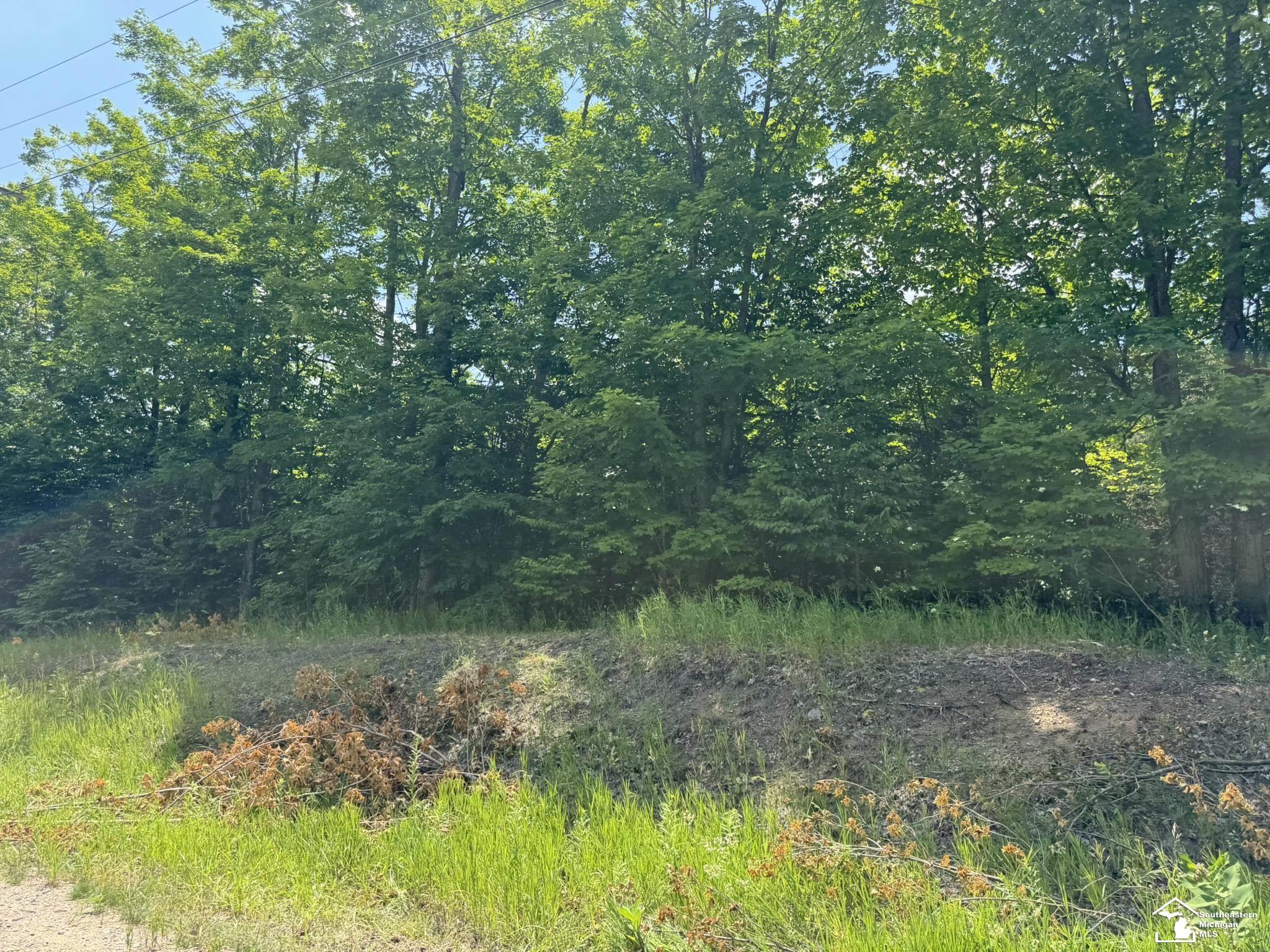 main property photo 0