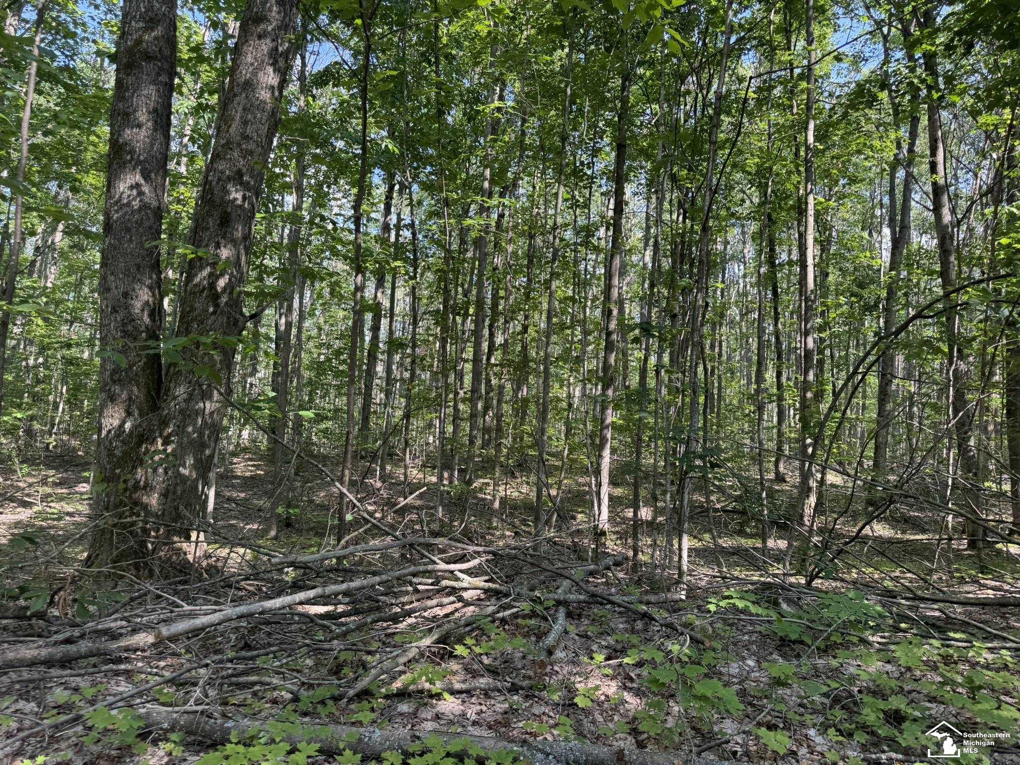 main property photo 12