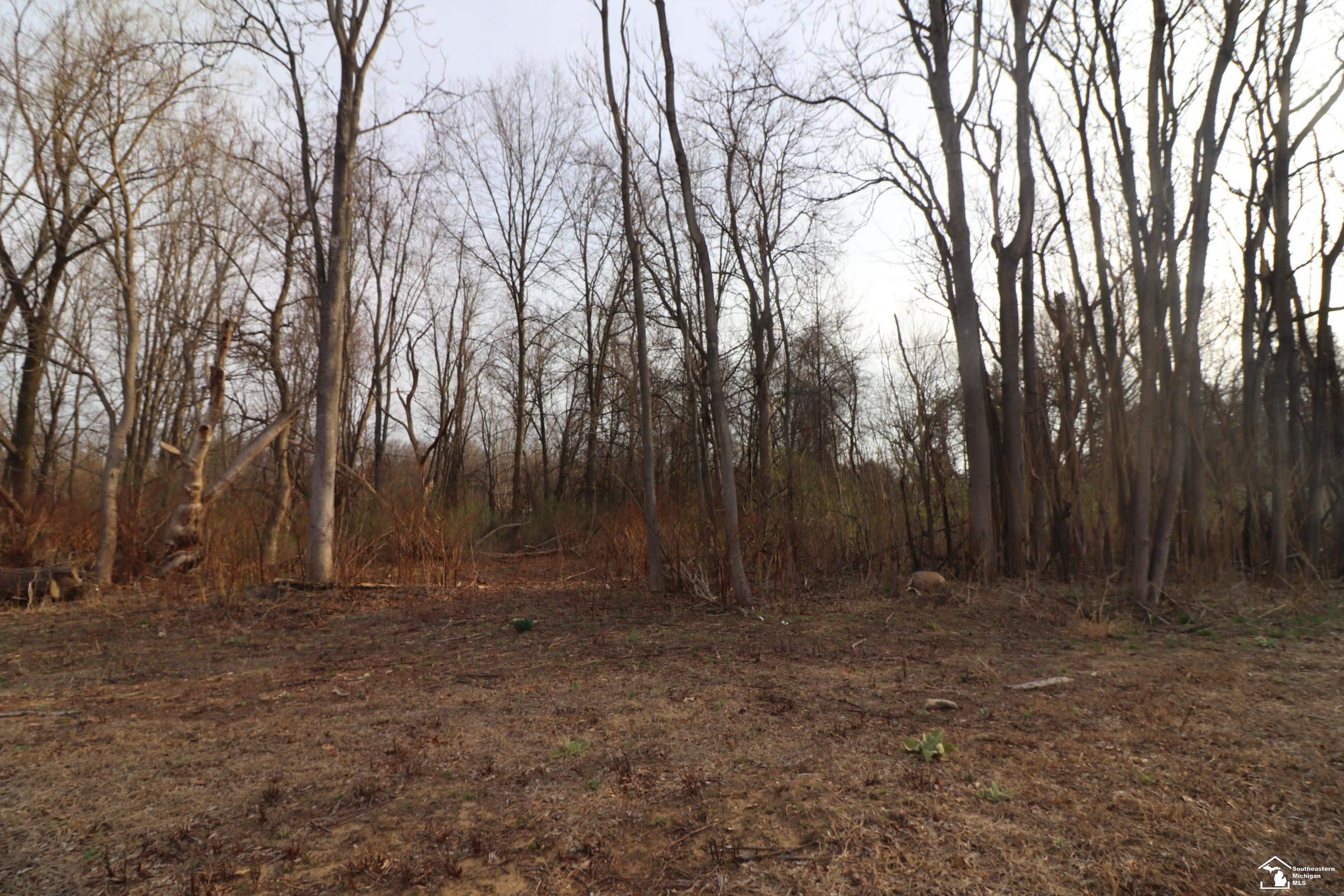 main property photo 11