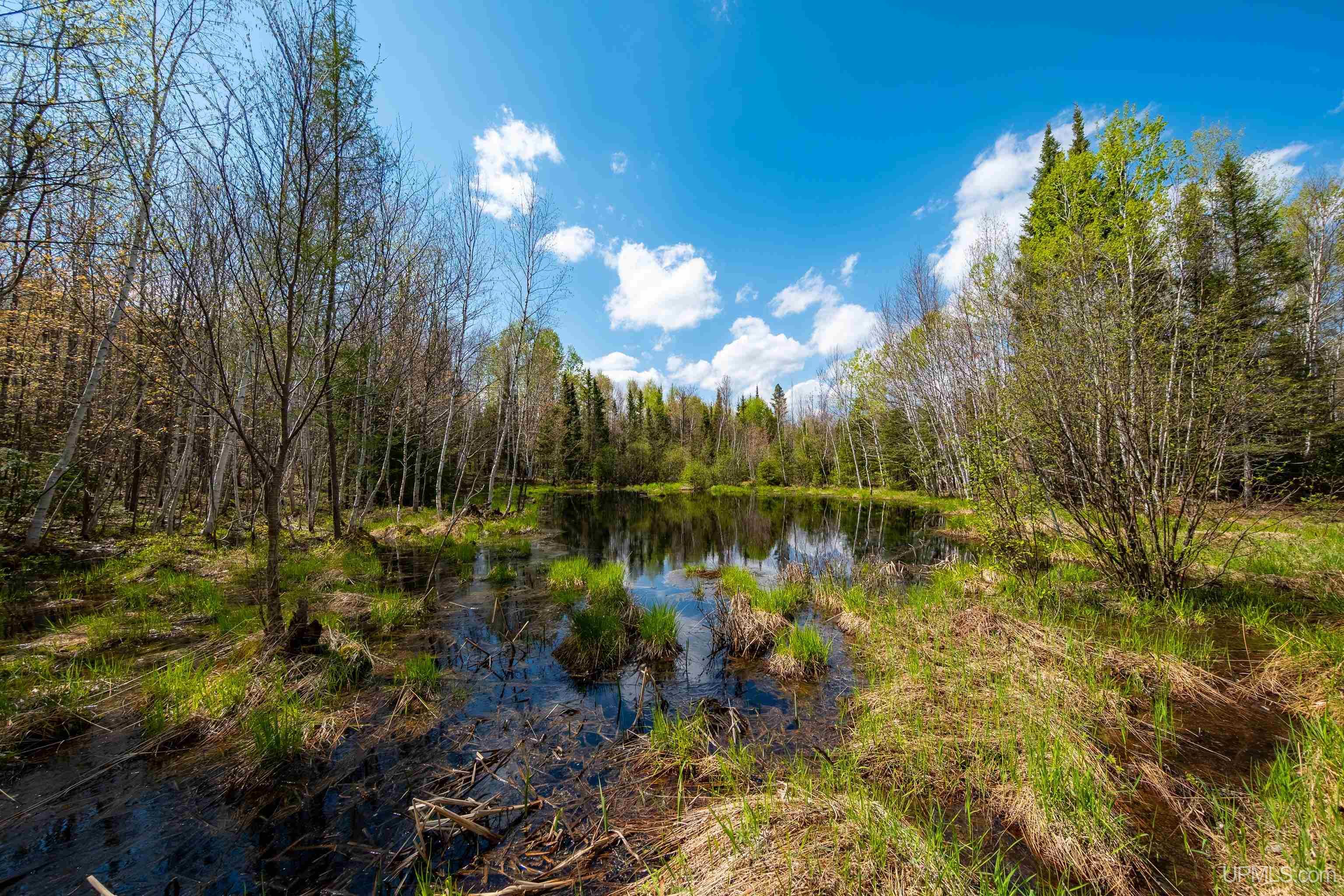 main property photo 49