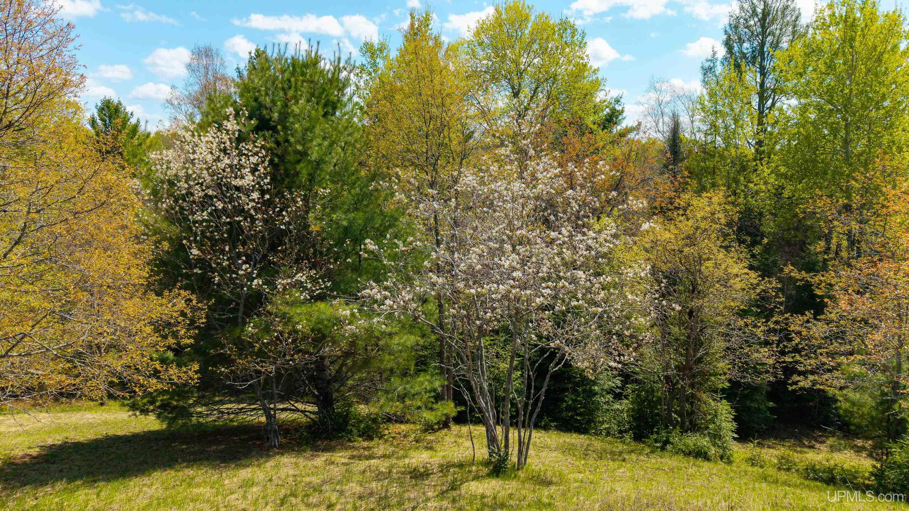 main property photo 52