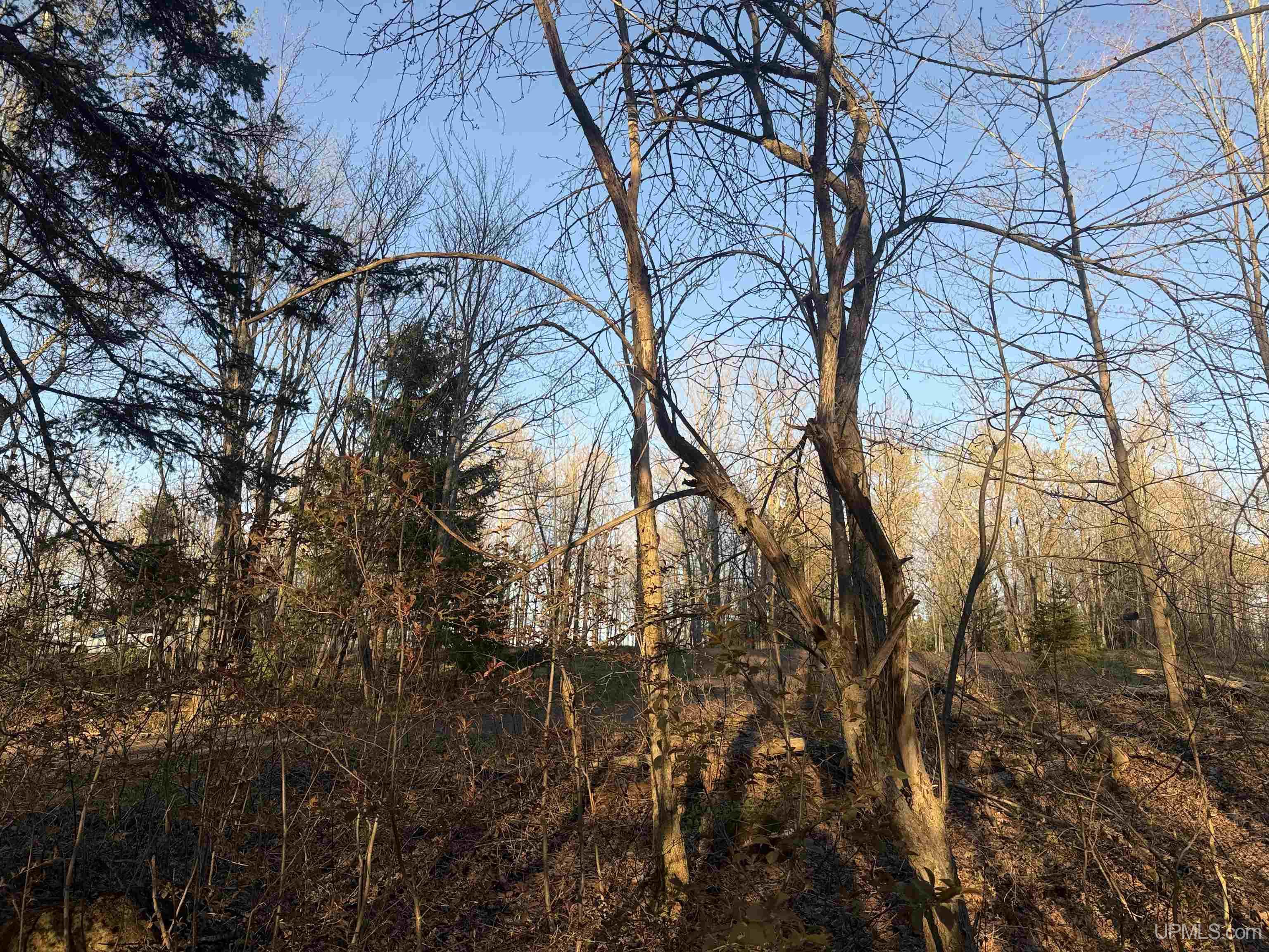 main property photo 16