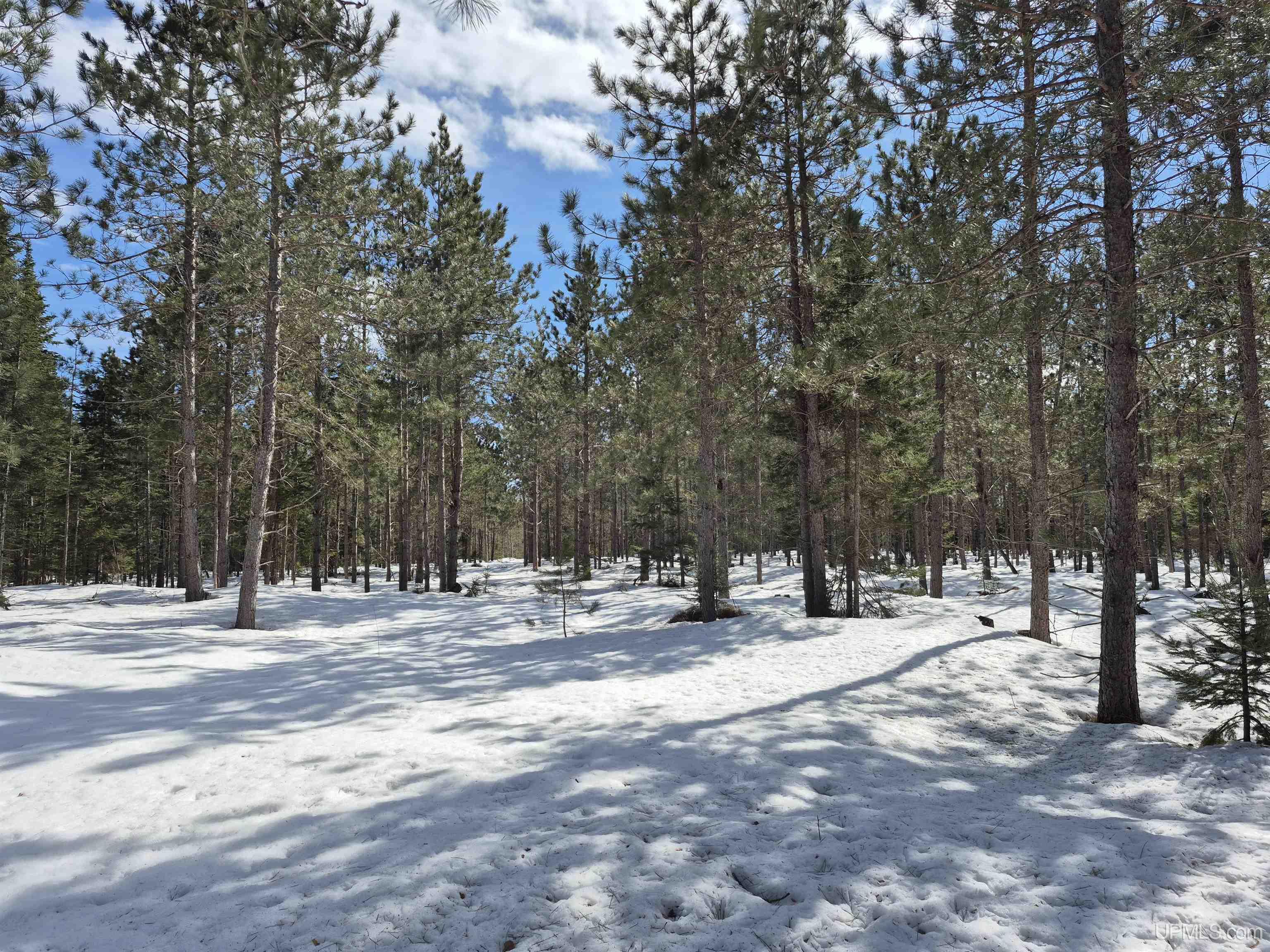 main property photo 0
