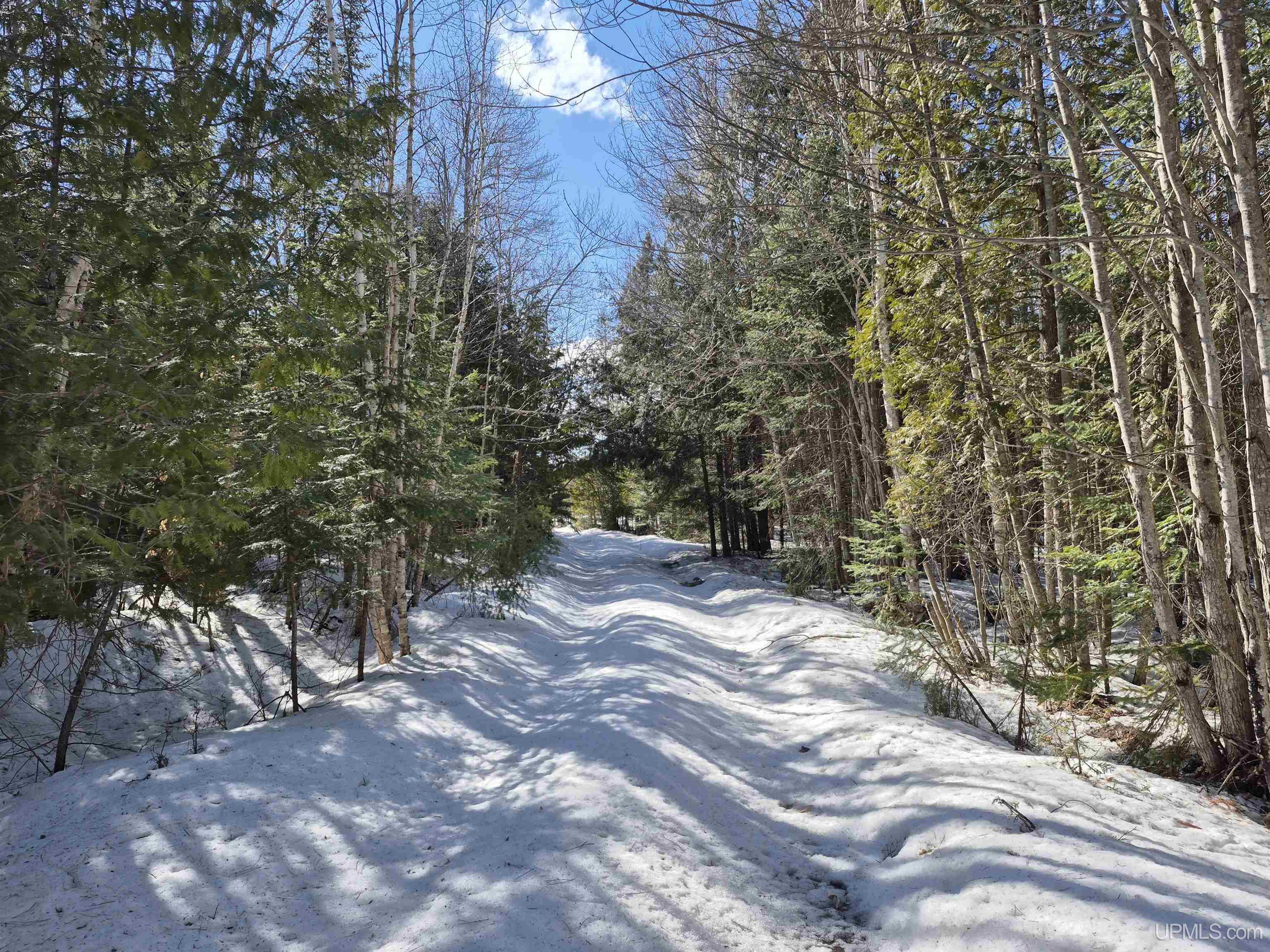 main property photo 12